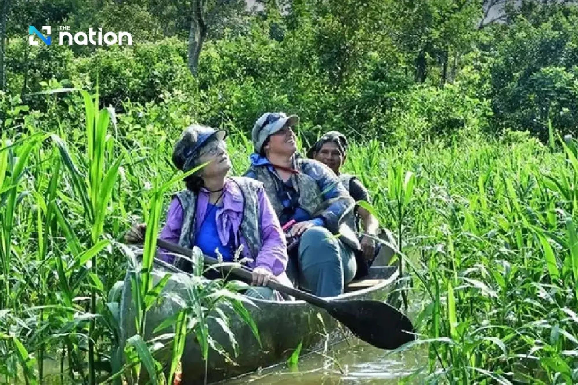 Regeneracation: New travel trend that restores nature