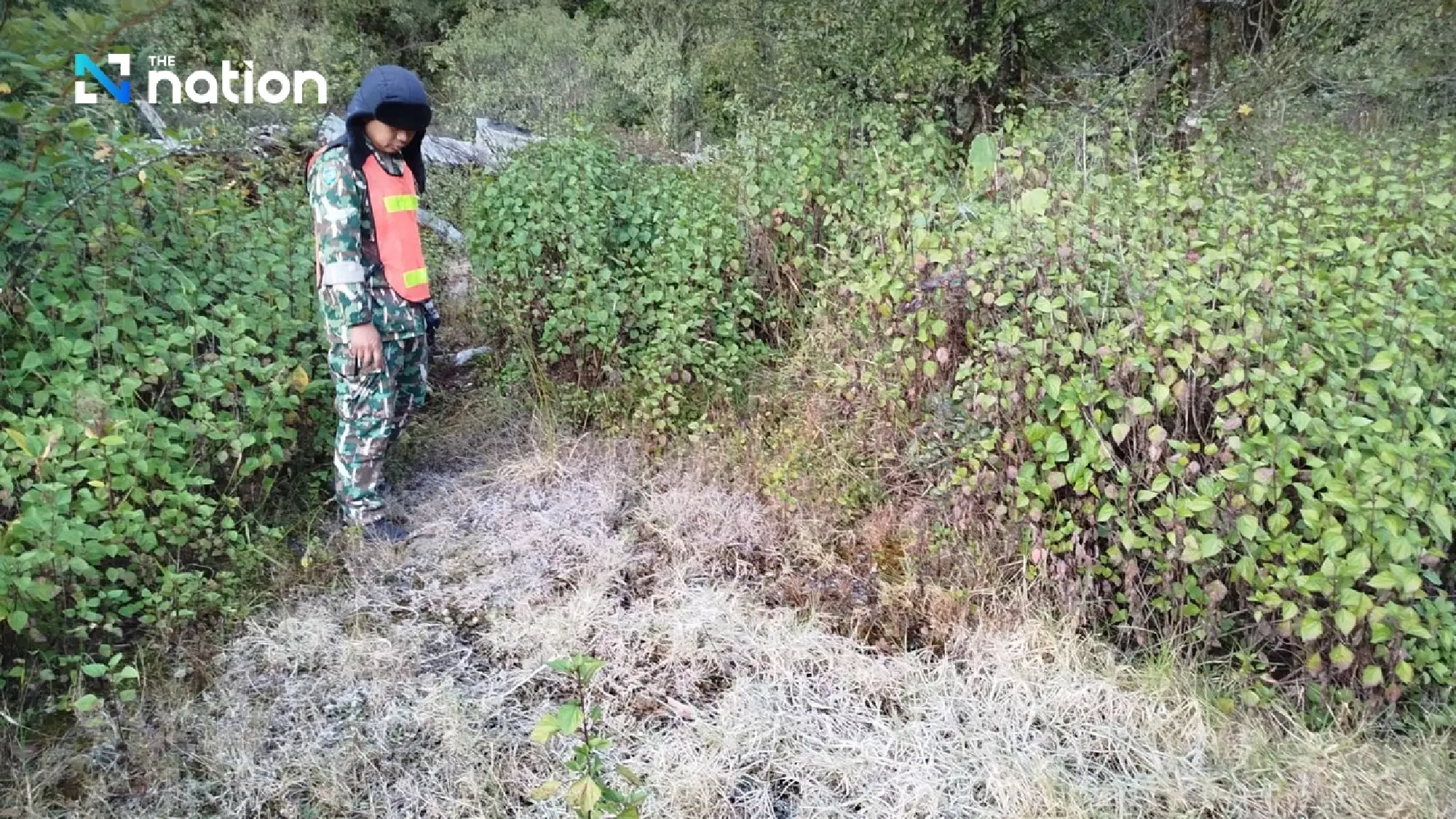 Doi Inthanon treated with hoar frost on New Year morning