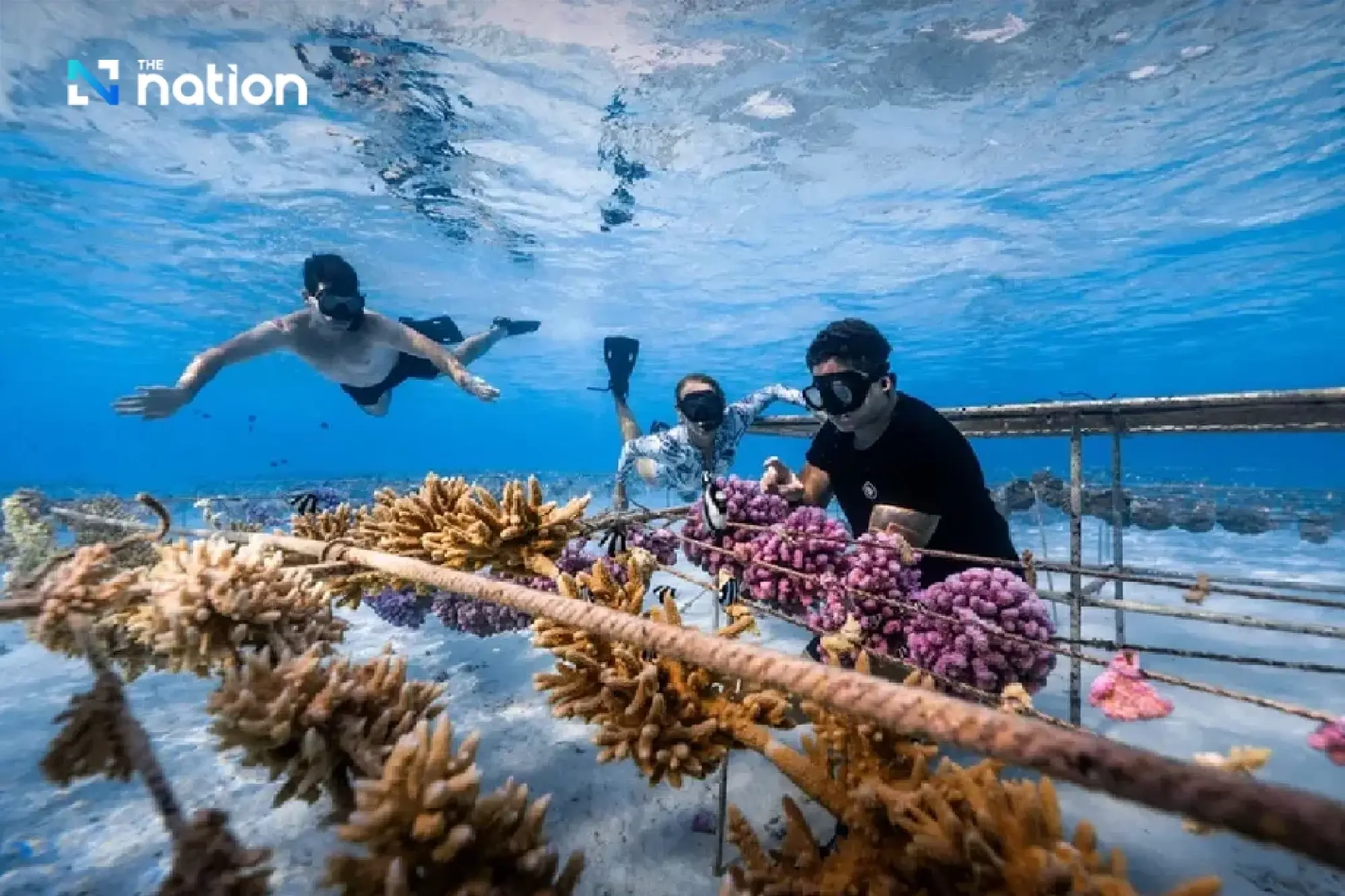 Regeneracation: New travel trend that restores nature