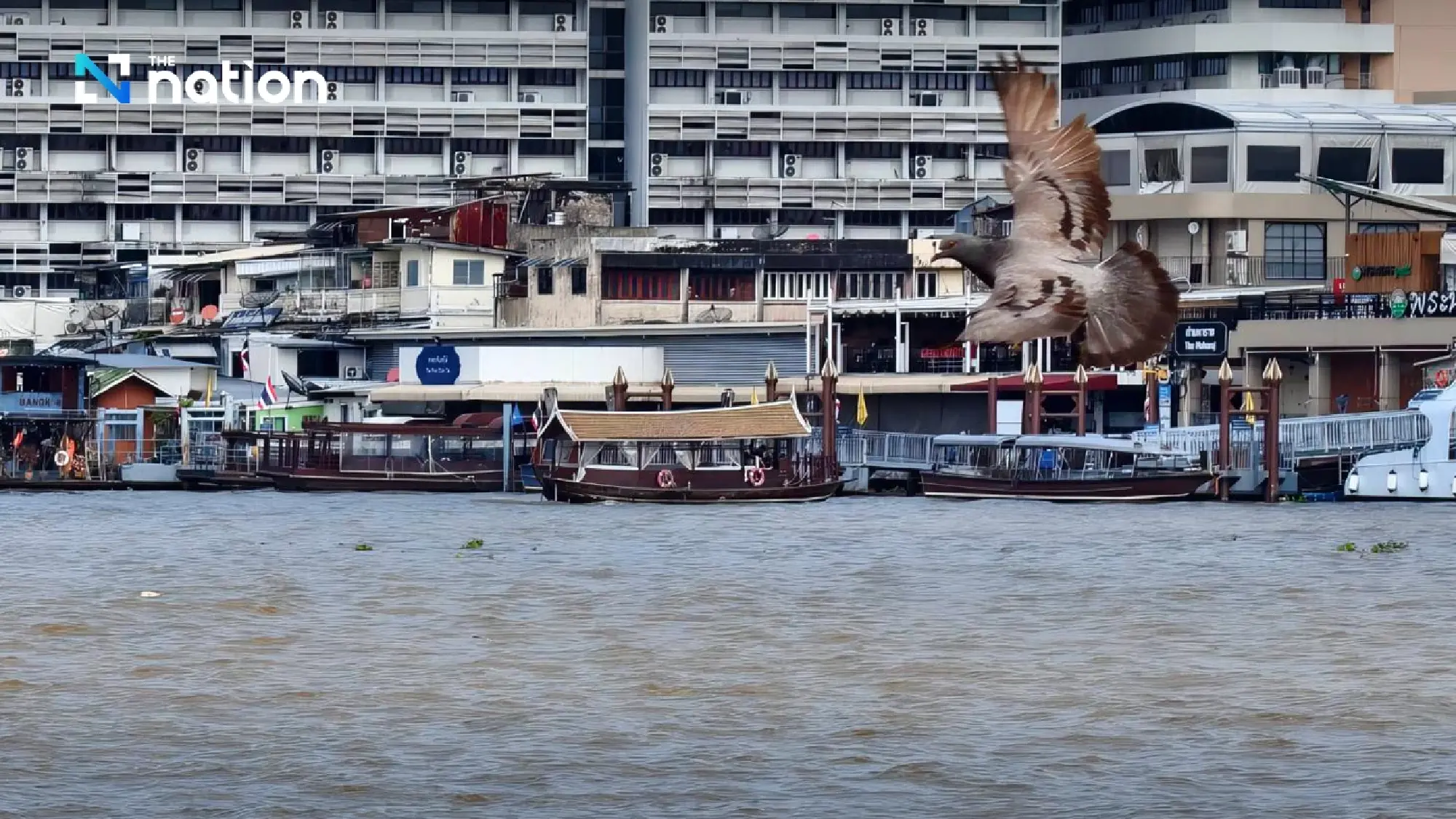 DDPM warns Bangkok and six provinces over tidal surge risk