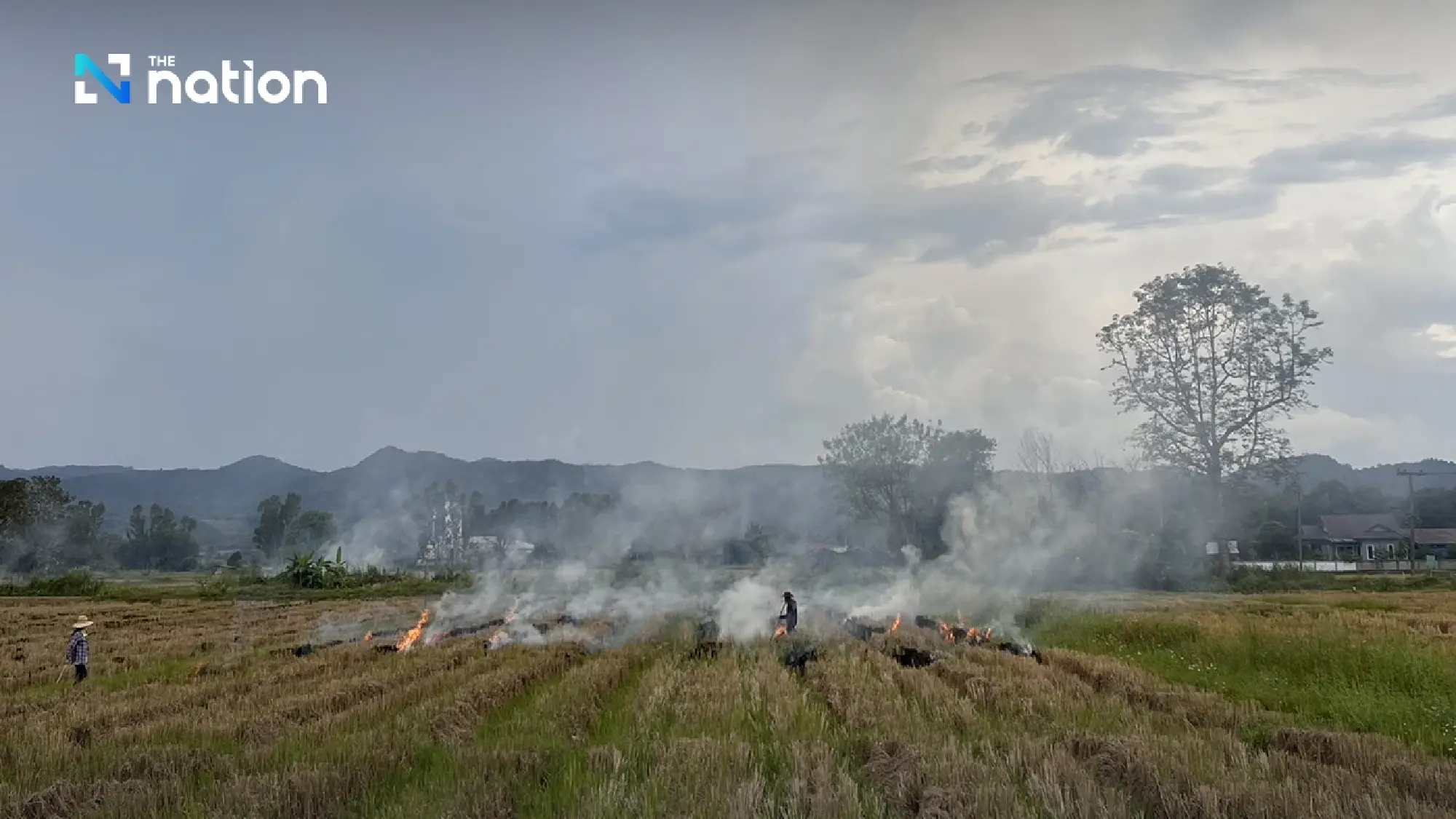 PM2.5 surges as PCD explains open-burning laws and penalties