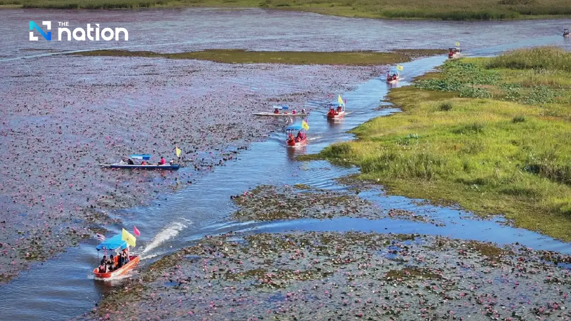 ‘Lisa effect’ draws crowds to Udon Thani’s Red Lotus Sea as TAT forecasts 120,000 visitors this season