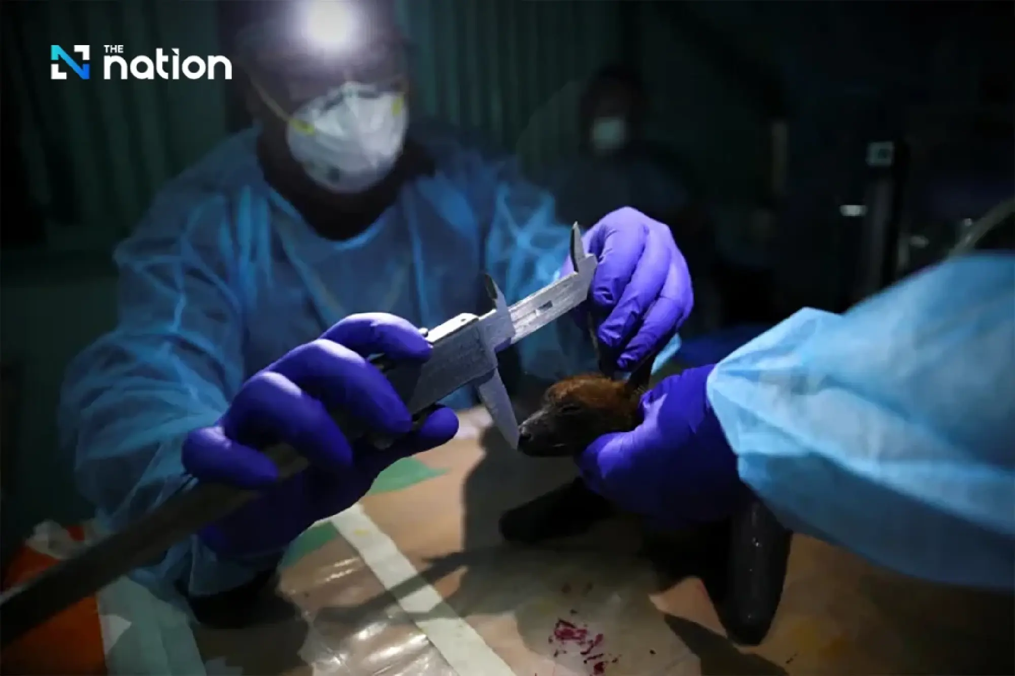 India rushes to contain Nipah virus outbreak near Kolkata