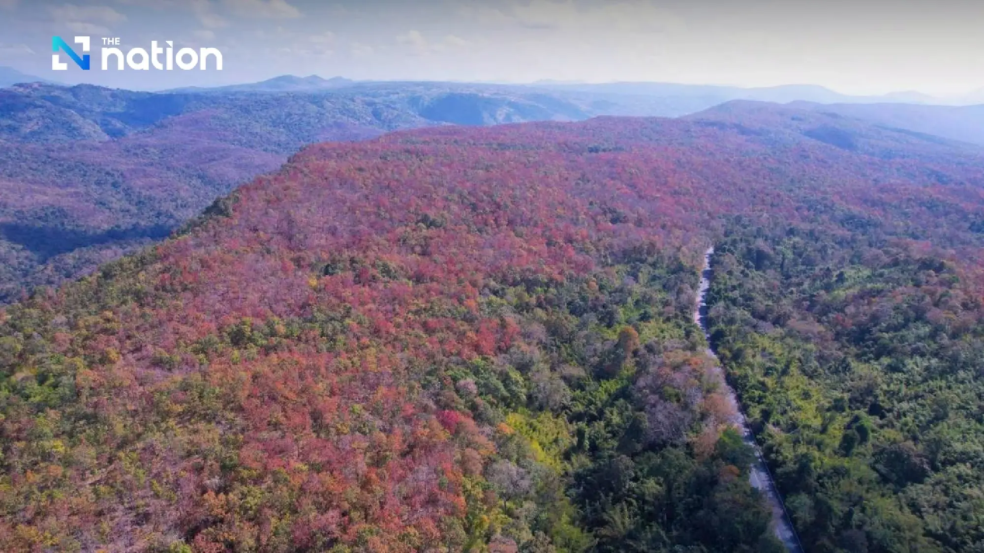The ‘colour-changing forest’ phenomenon: a spectacular palette in Nam Nao Forest, Phetchabun
