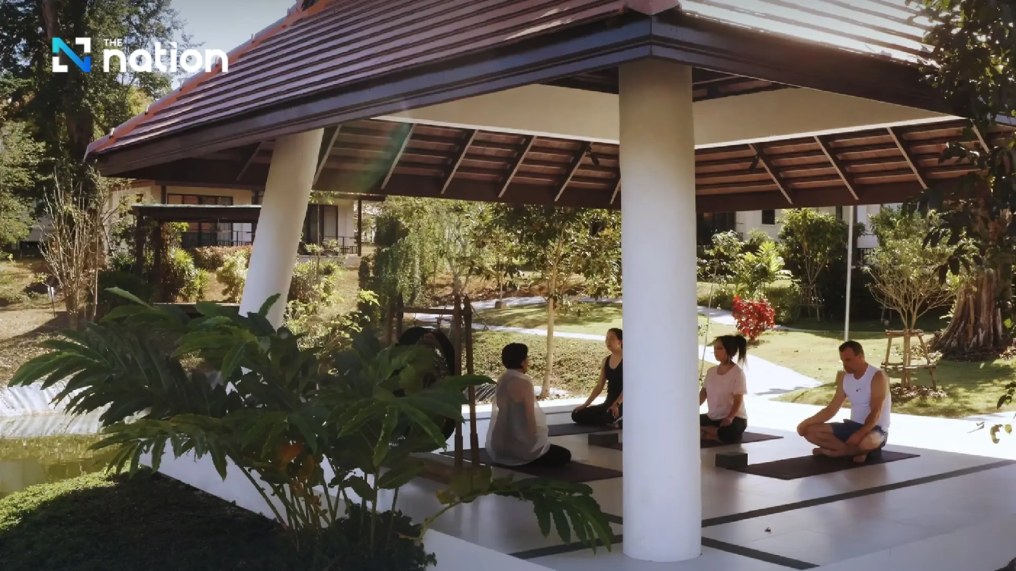 What Thailand's Cannabis Regulatory Reversal Tells Us About Treatment Needs