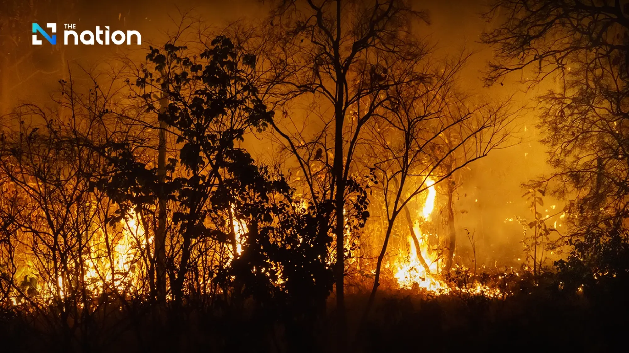 GISTDA: Thailand hotspots hit 839, with forests accounting for over half