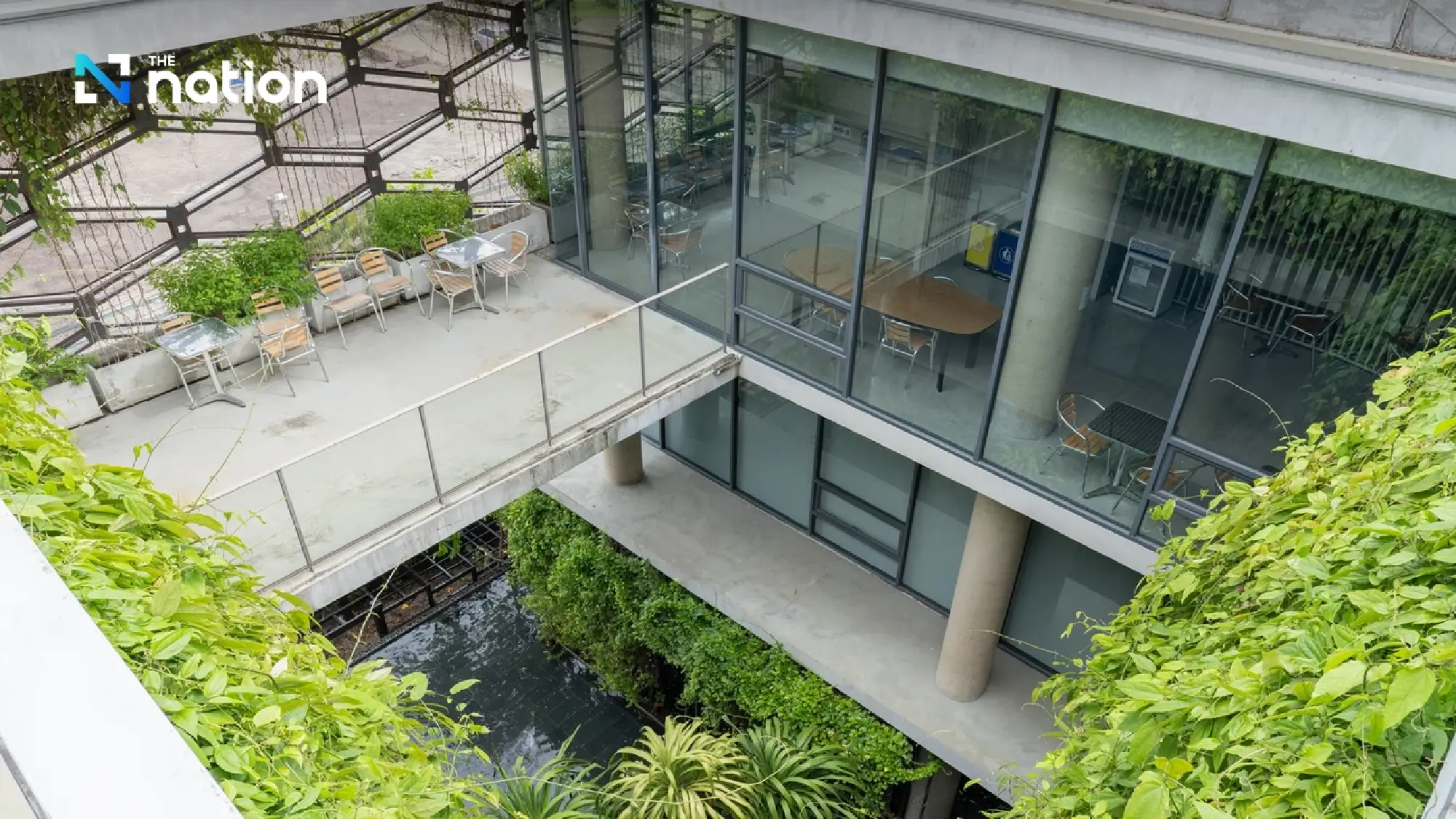 NEO Achieves Record-Breaking Performance with Historic 4Q/2025 Sales