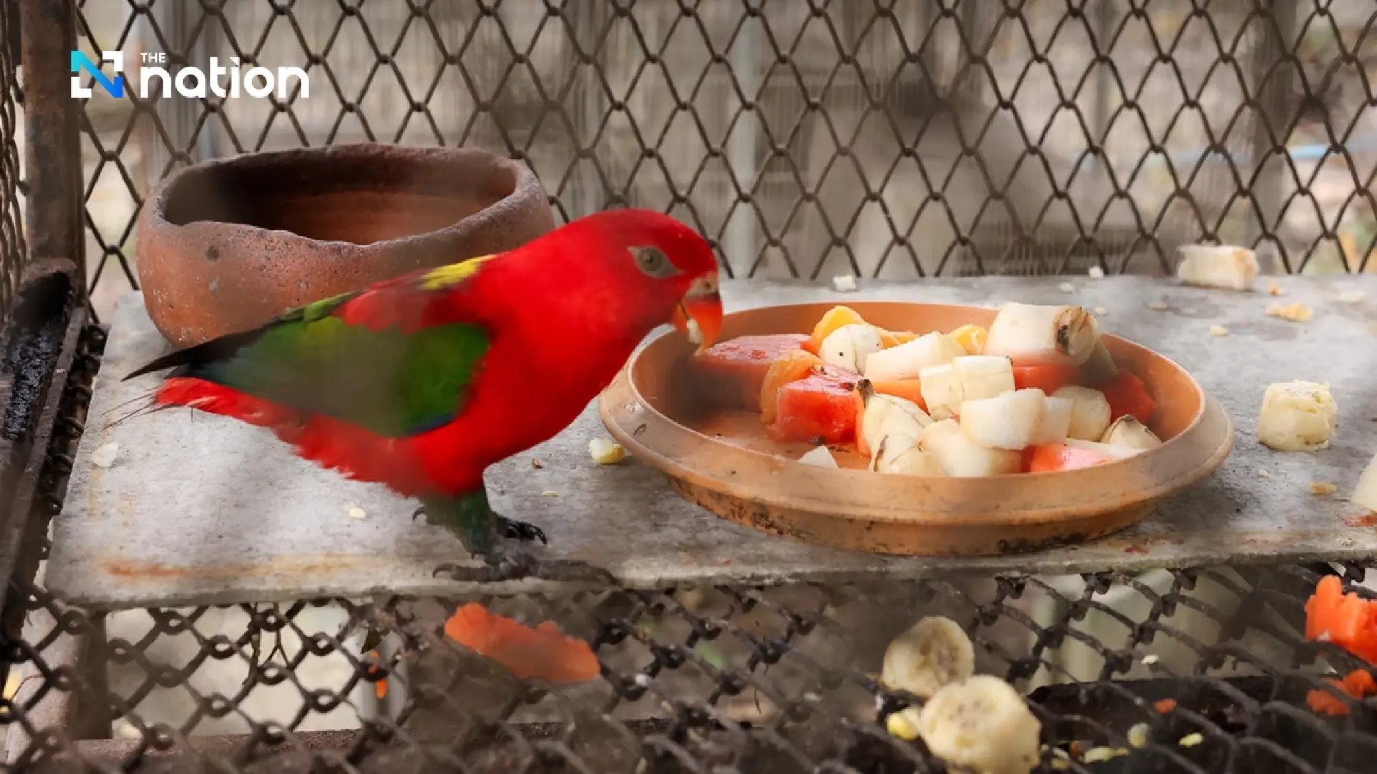 CP AXTRA Joins Asia EnwastExpo 2026, Reinforcing Regional Leadership in Food Waste Management