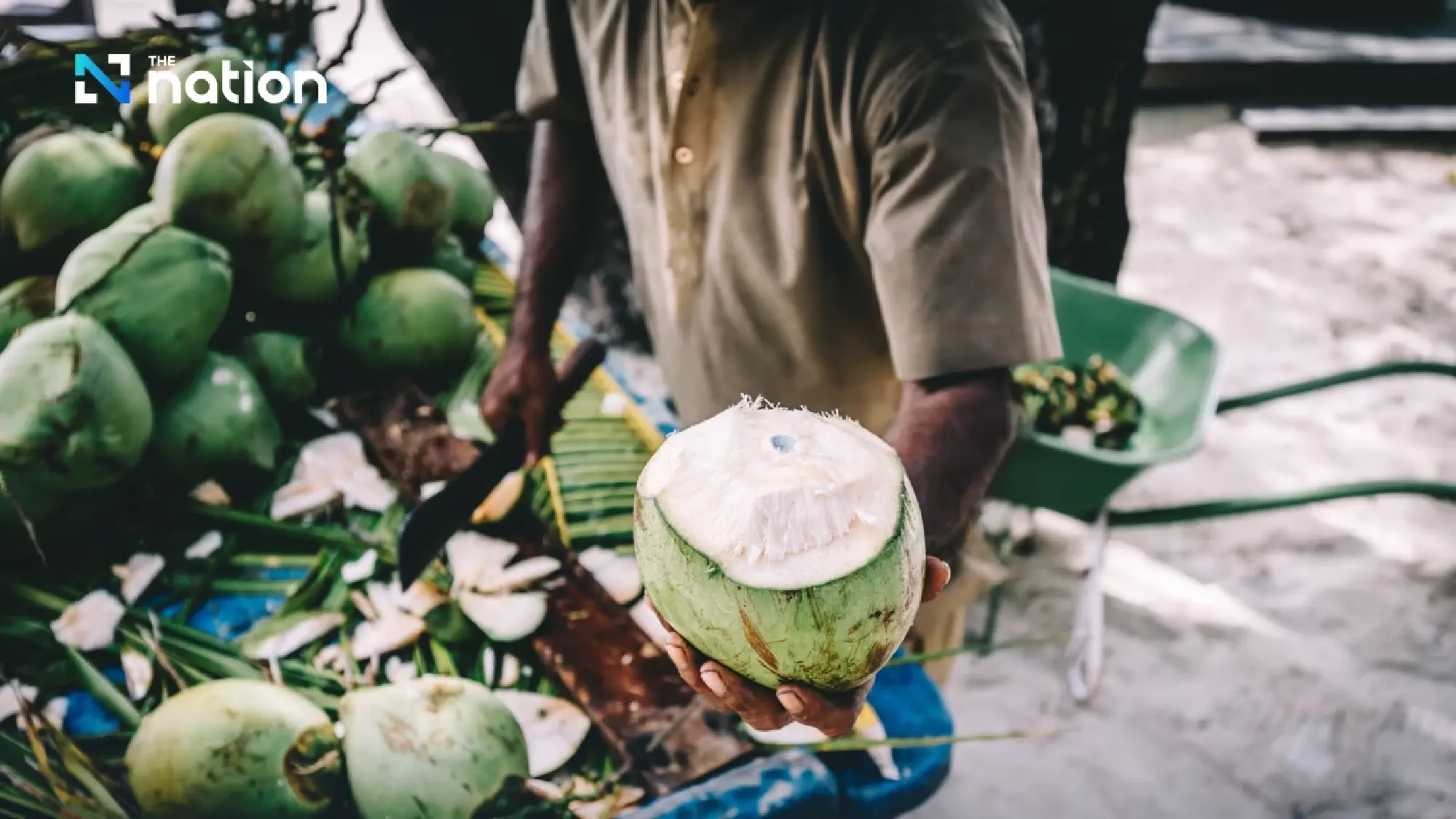Nam Hom coconut prices fall; Suphajee orders action, nominee checks, export push