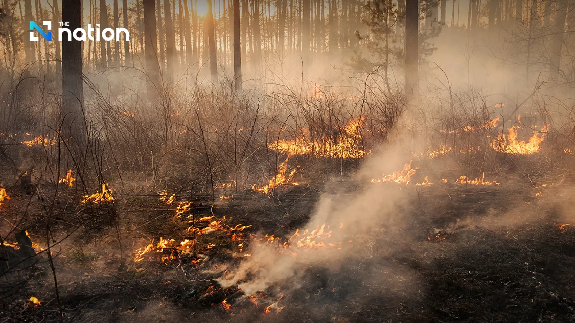 GISTDA: Thailand hotspots hit 839, with forests accounting for over half