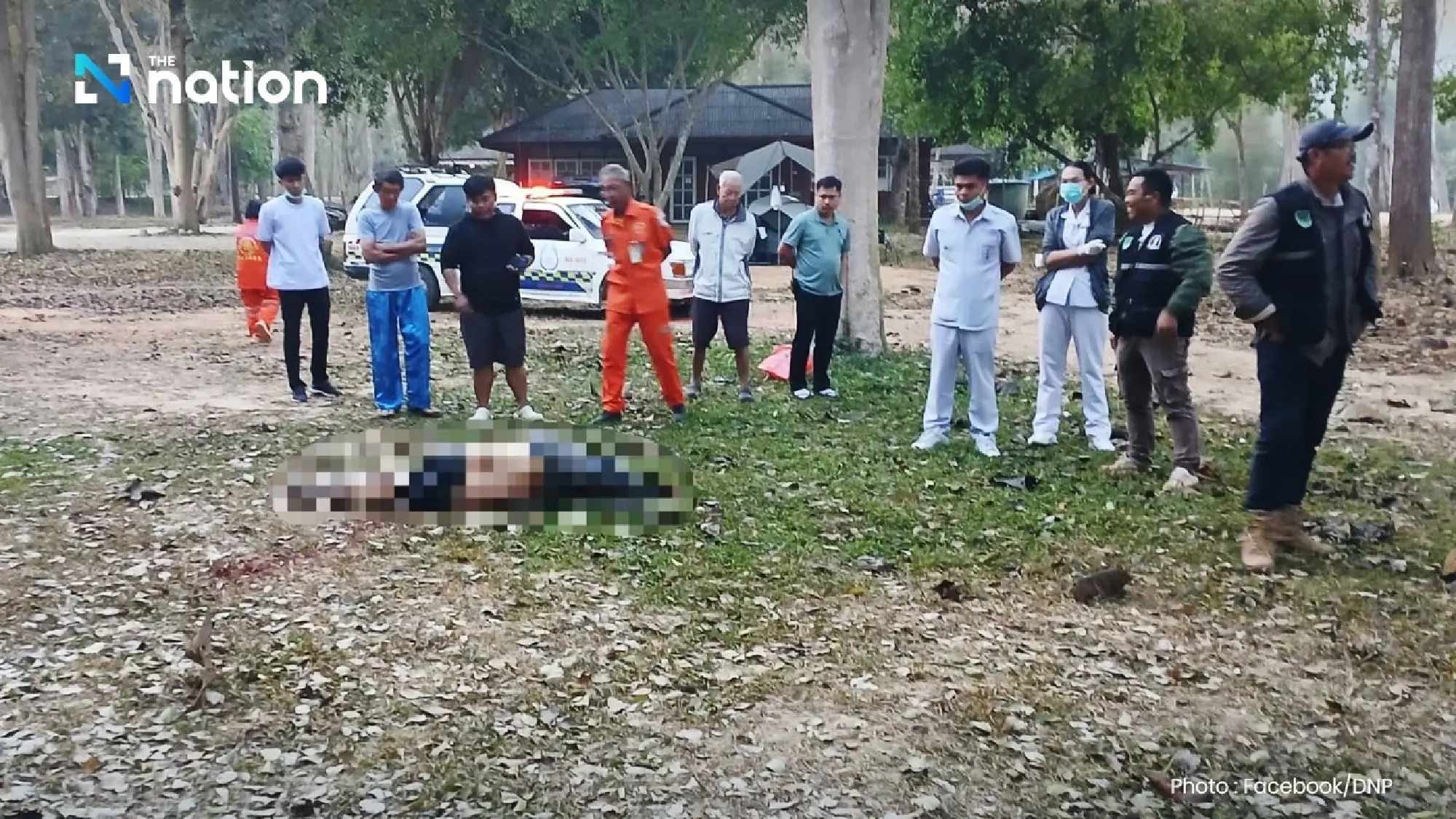 Wild elephant attacks tourist during morning workout, leaving one dead