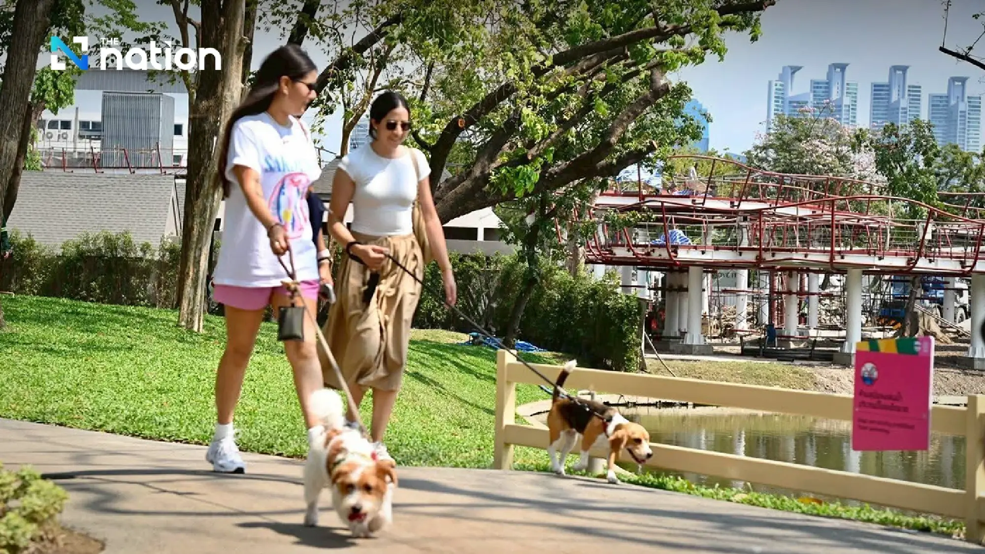 From car park to “Lumpini Dog Park”, a new landmark in the heart of Bangkok