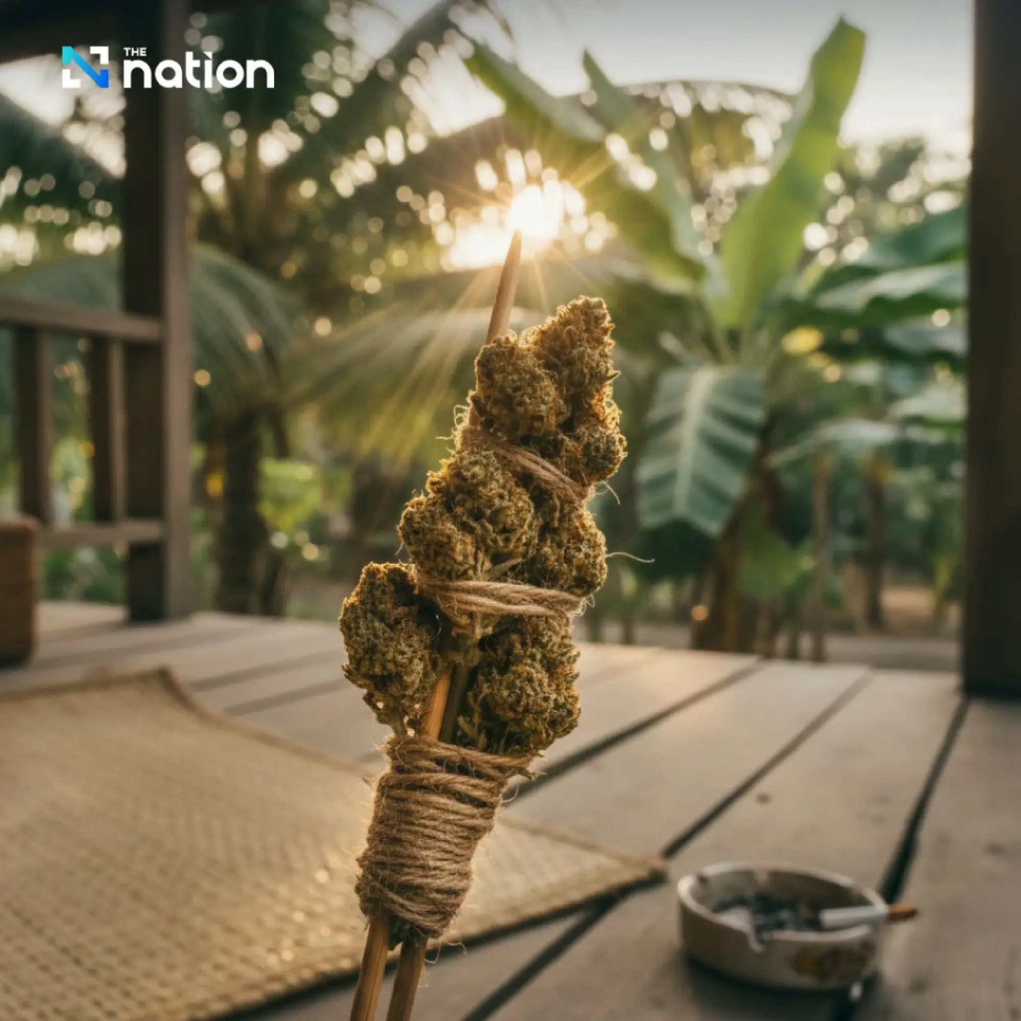 What Thailand's Cannabis Regulatory Reversal Tells Us About Treatment Needs