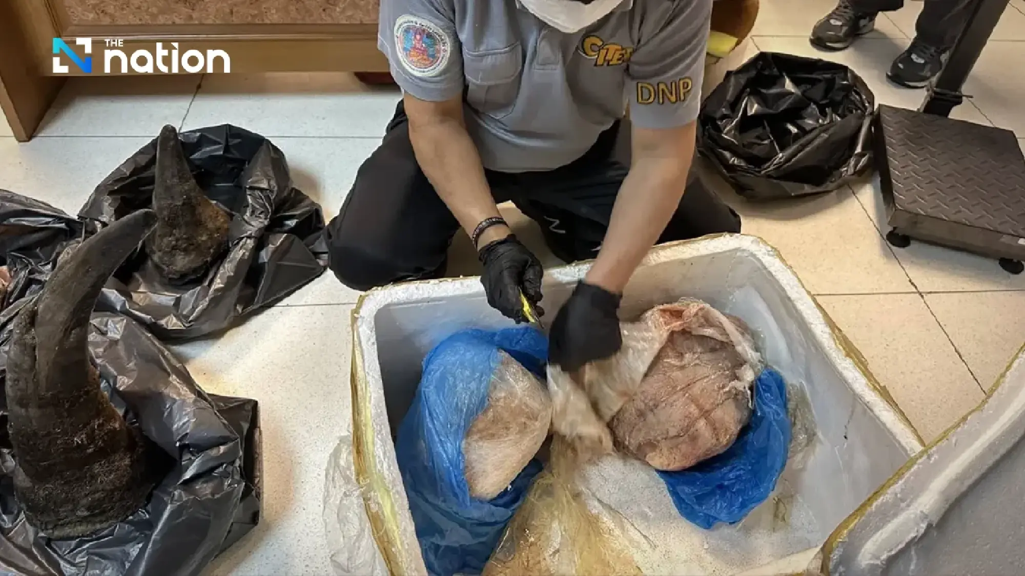 Vietnamese arrested in Bangkok for allegedly smuggling rhino horns to Laos