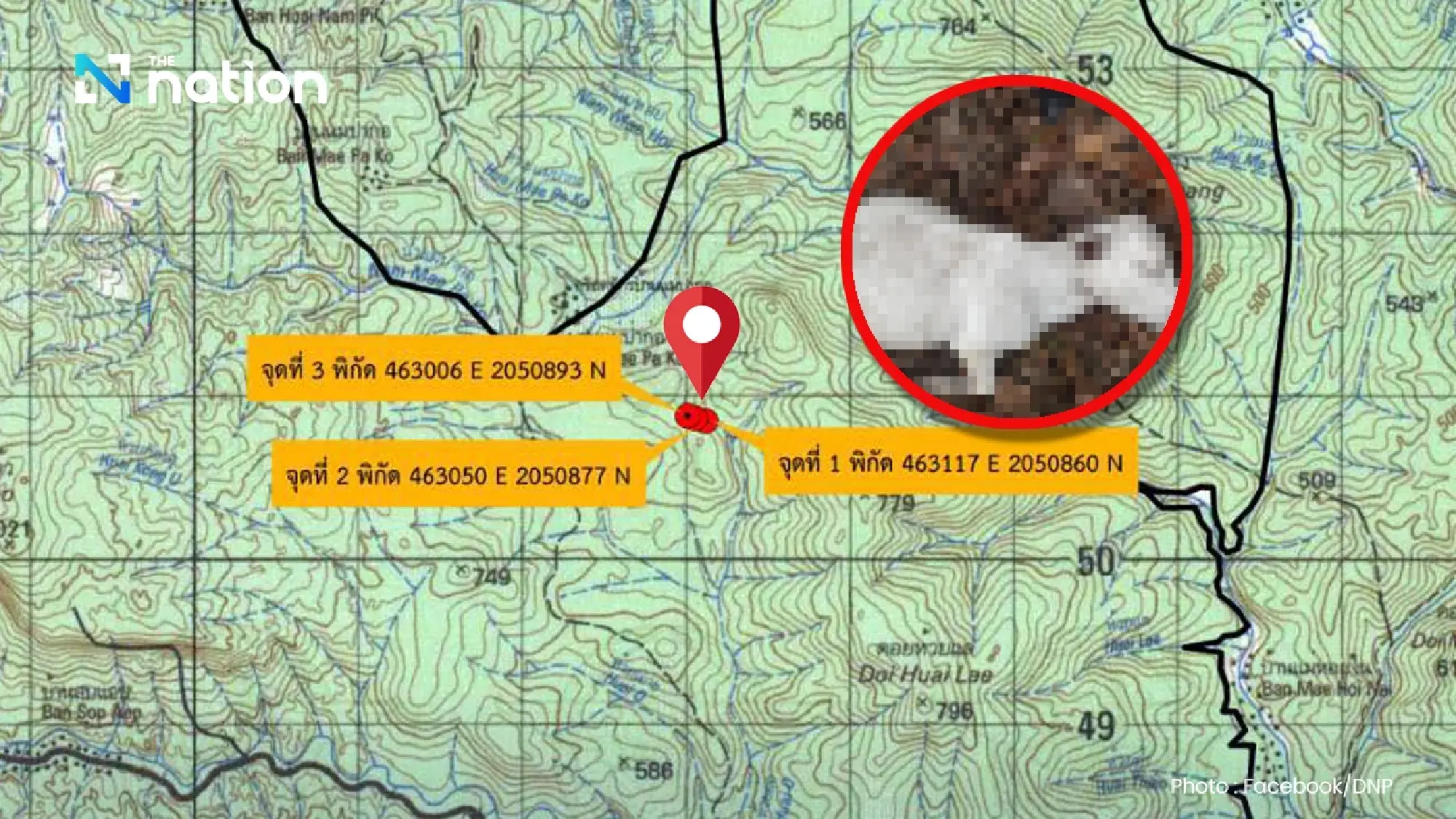 Warning issued in Chiang Mai after tiger kills 3 cows in Doi Inthanon forest