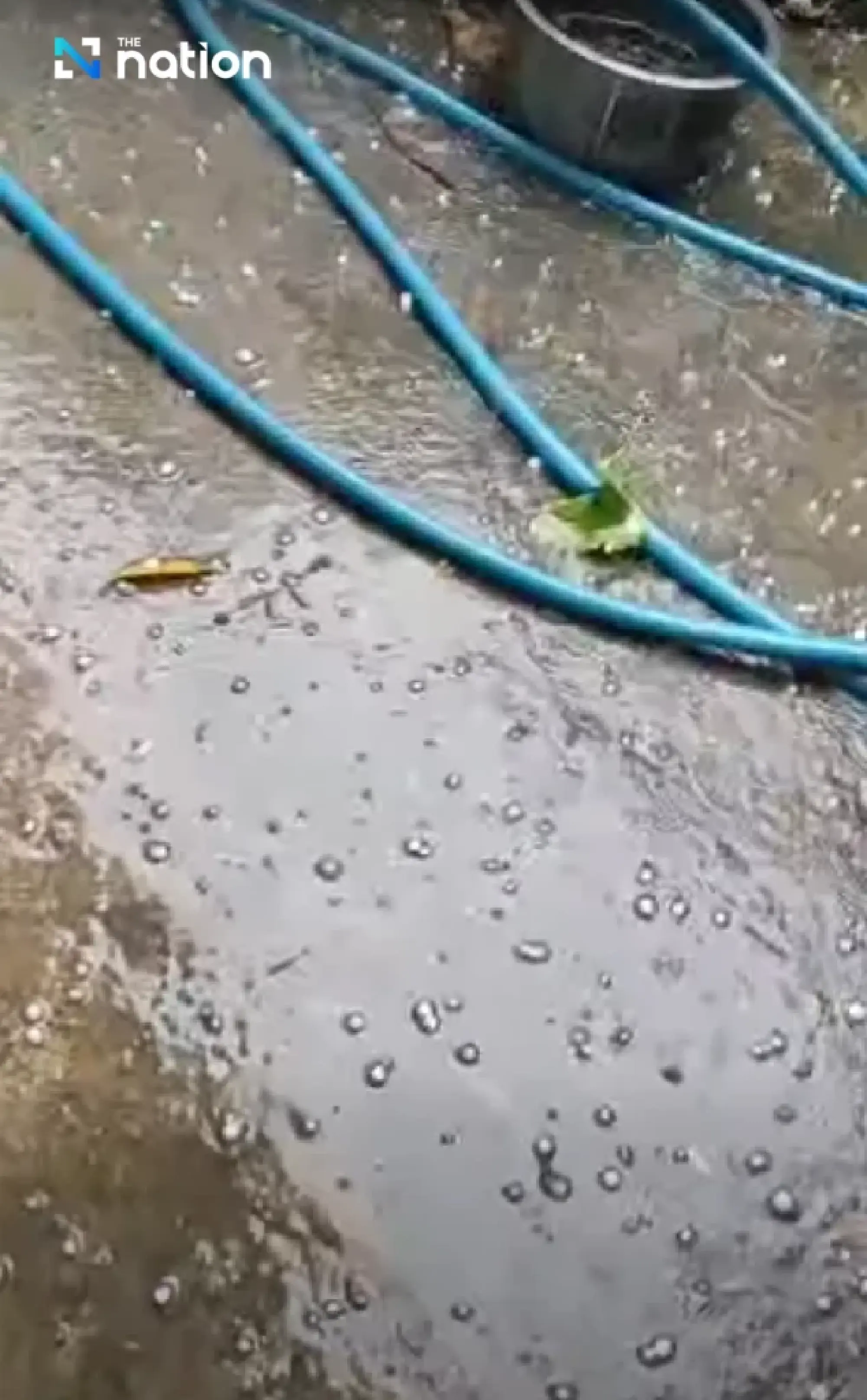 Summer storm brings heavy rain to Chiang Mai, hail hits Mae Wang