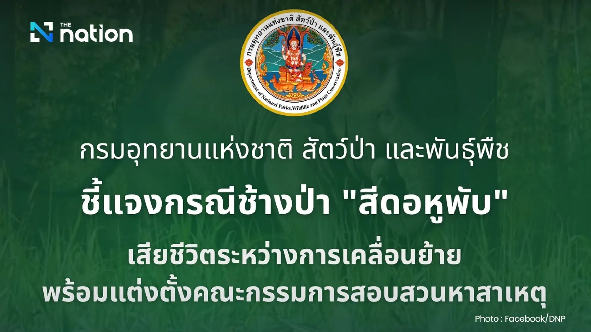 Tragic End to Elephant Relocation: ‘Sido Hoo-pub’ Dies En Route to Sanctuary