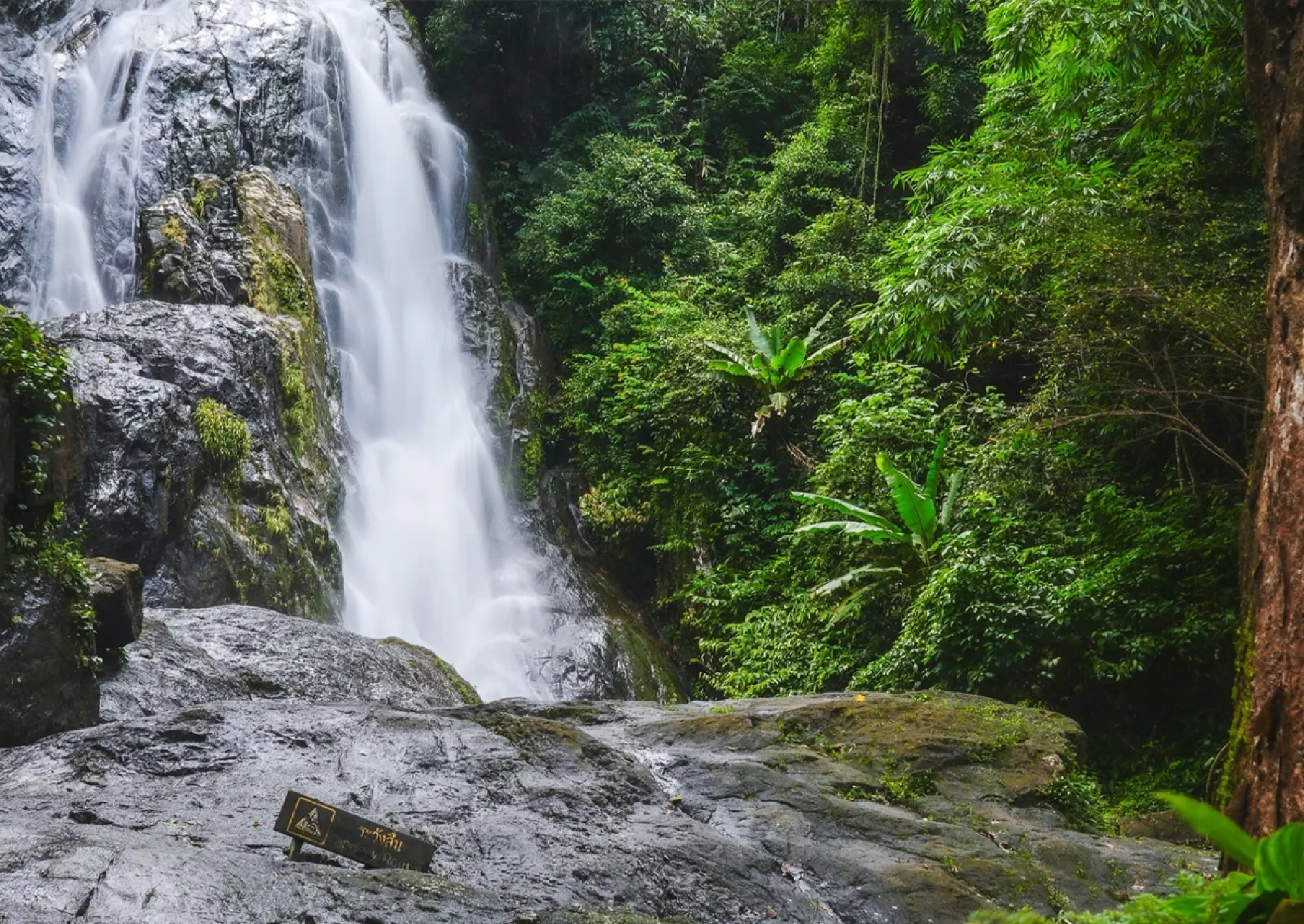 Five Southern Gems for Nature Lovers and Slow Life Enthusiasts