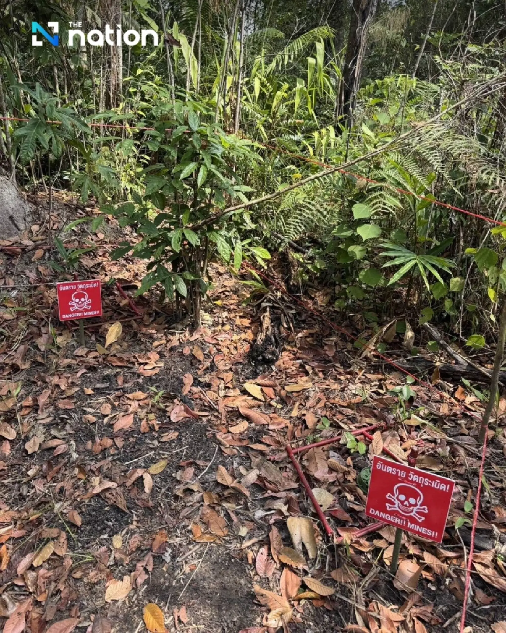 Navy says six new PMN-2 landmines found in Trat border area