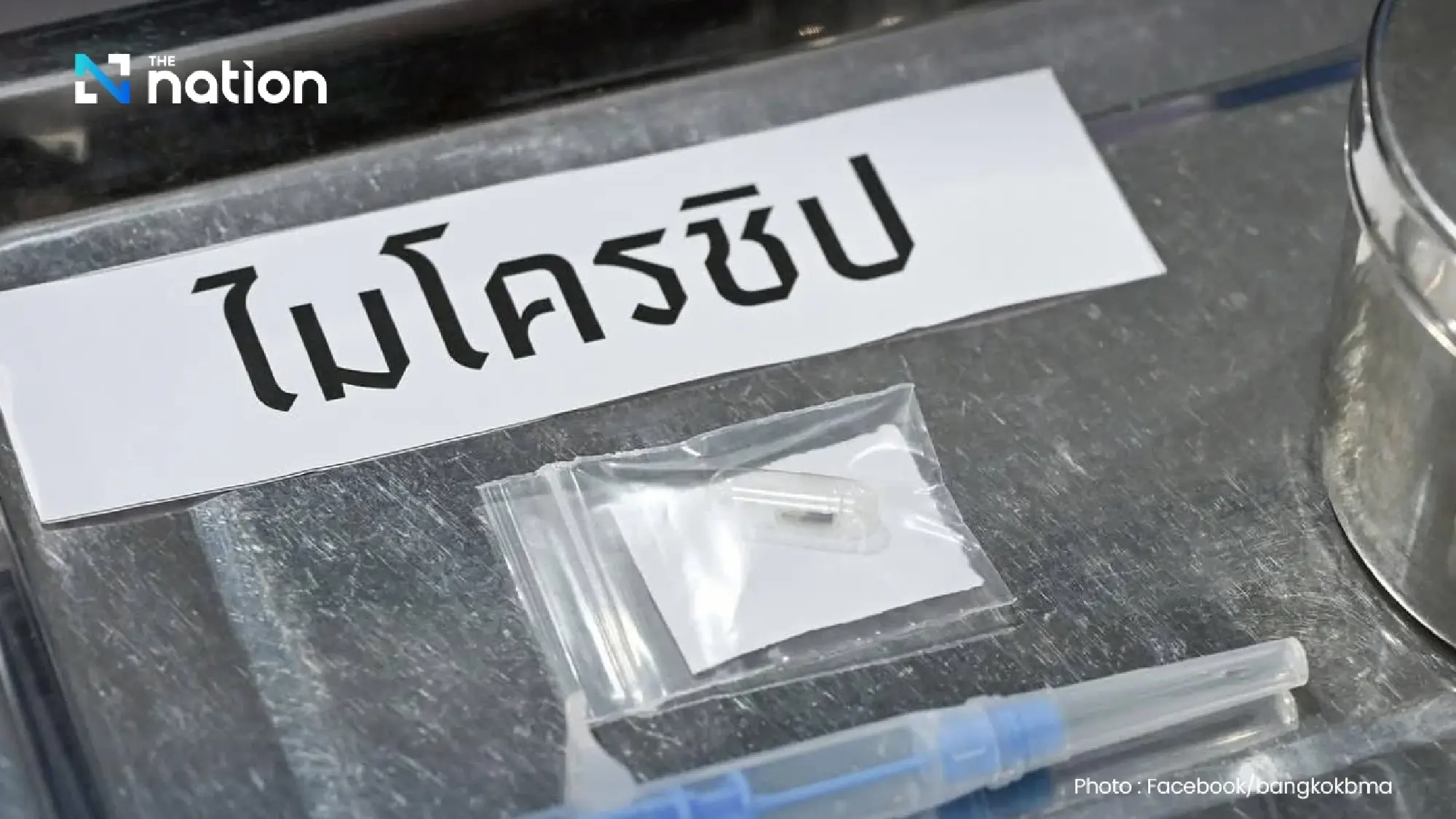 Bangkok to offer free pet microchipping, registration from February 14 via QueQ app