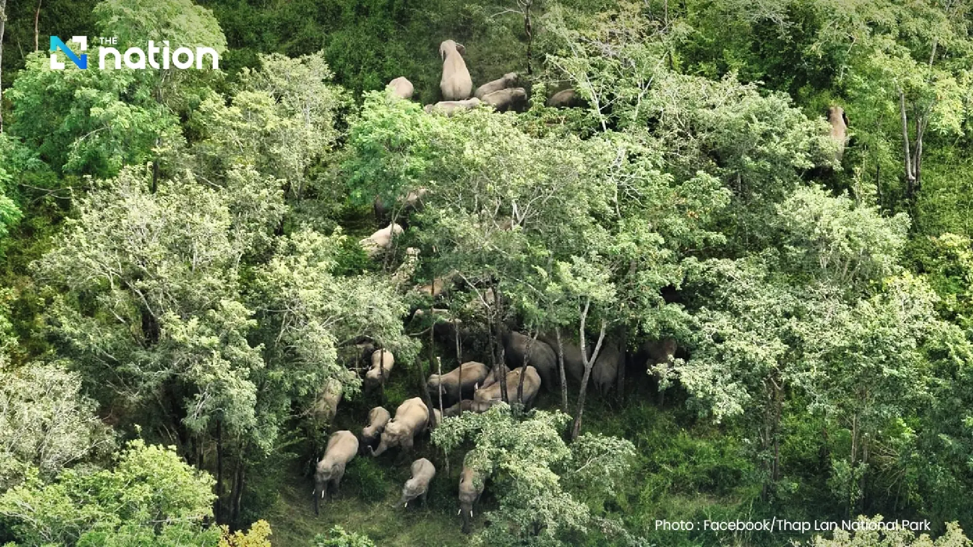 Thap Lan park closes four tourist spots, announces measures to contain wild elephants