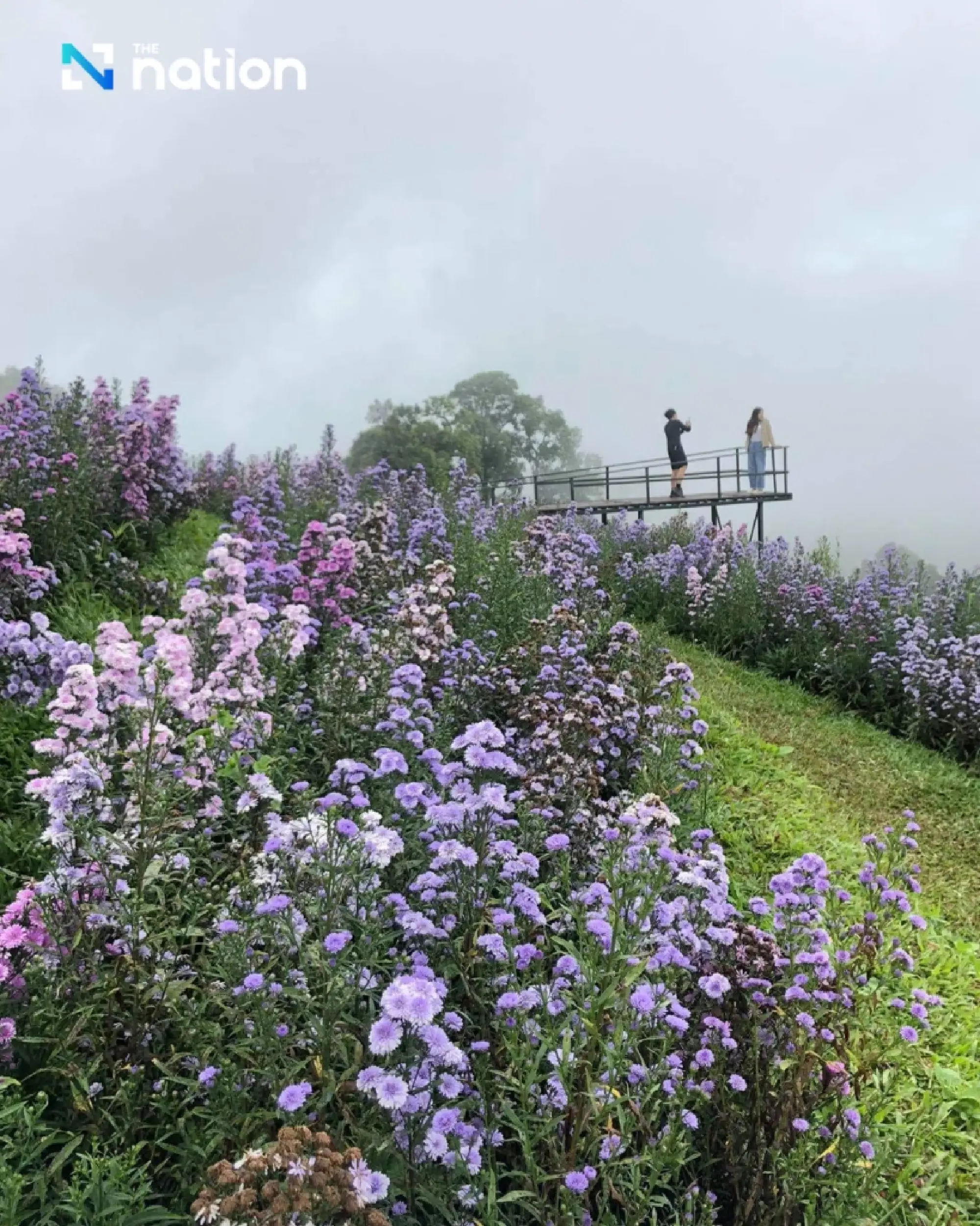Cold air mass cools Thailand, Northeast drops 1–3°C, Bangkok sees morning mist