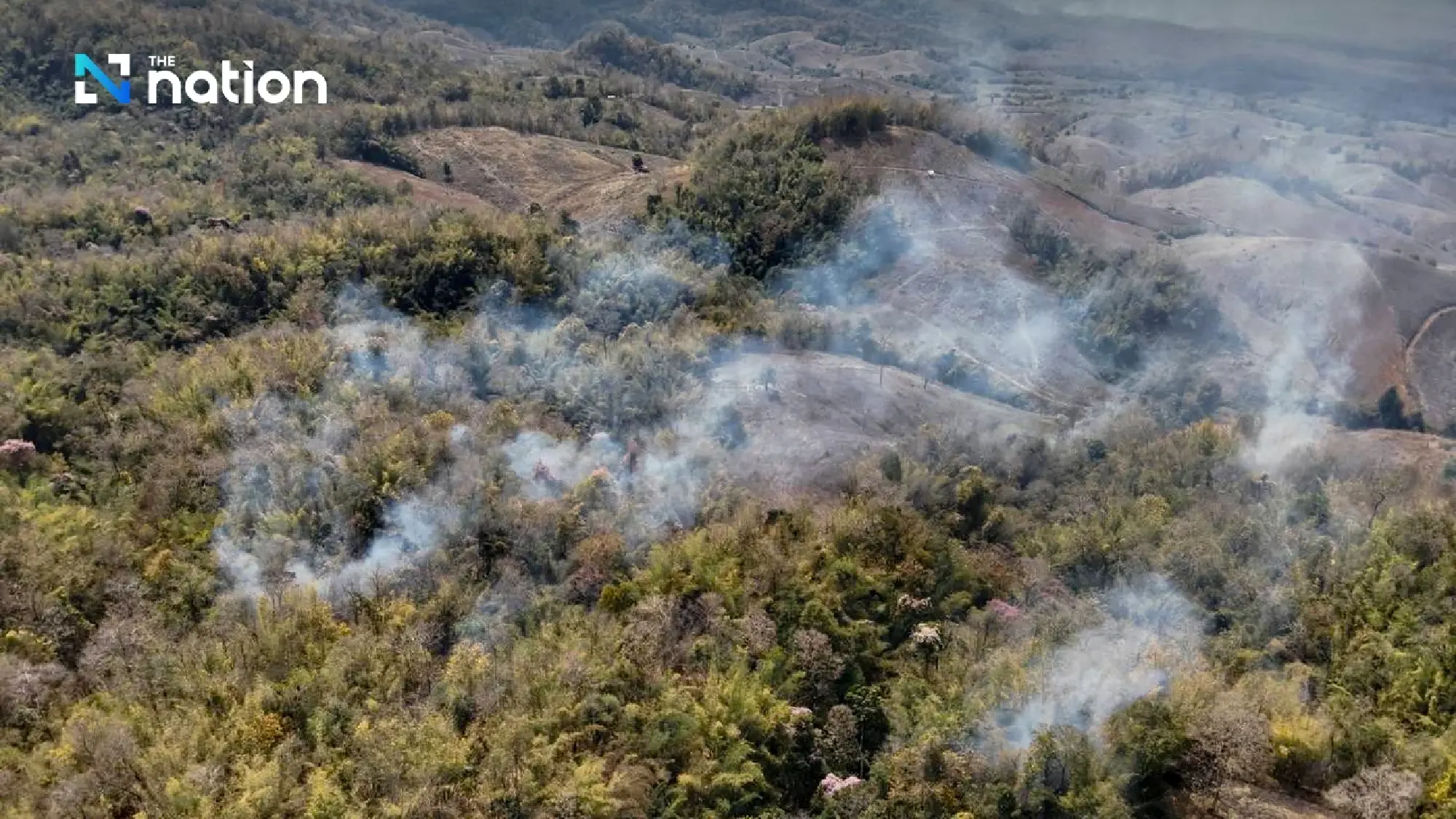 DNP tightens fire control across 14 forest groups, sets 3,000 checkpoints nationwide