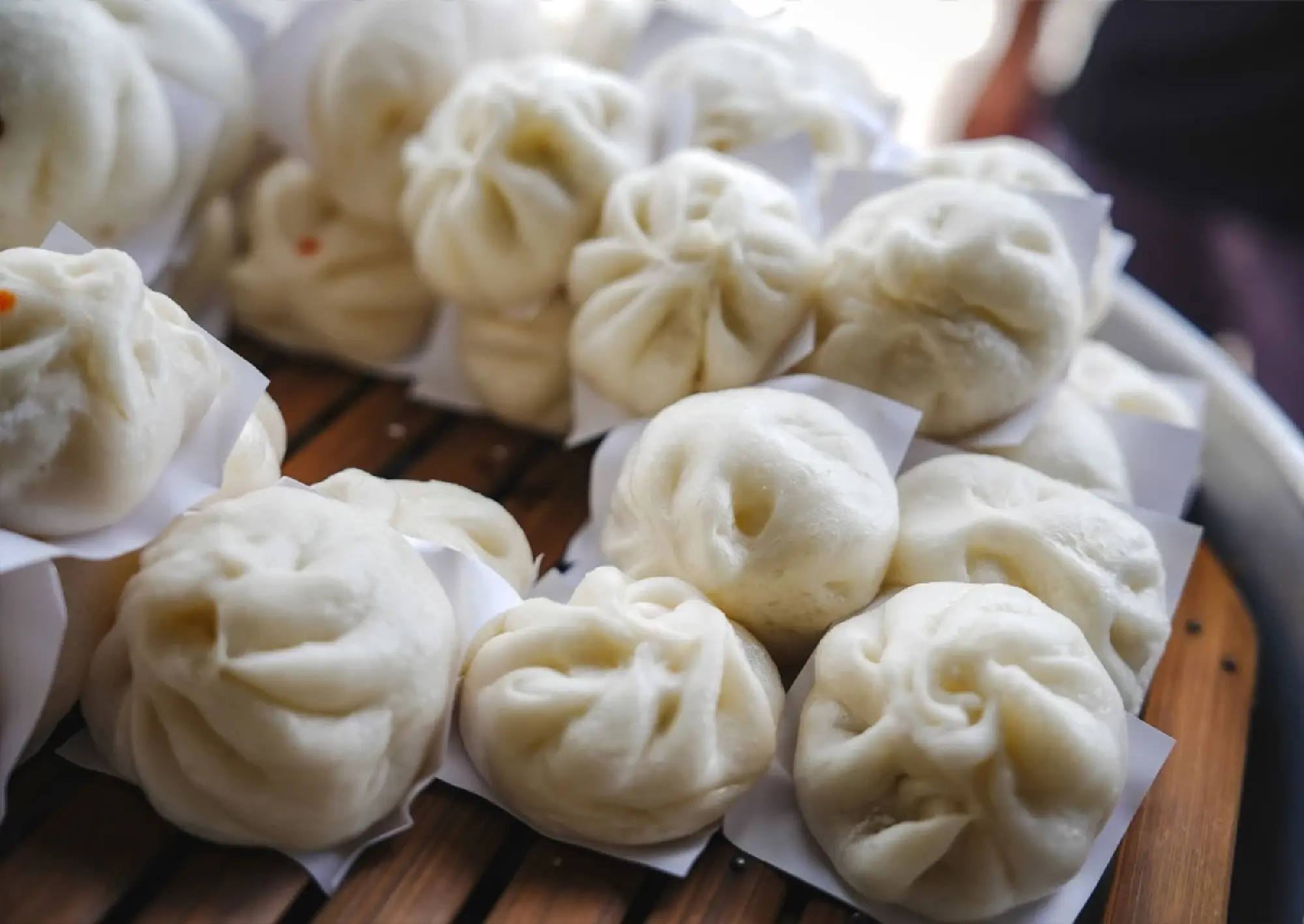 Five Southern Gems for Nature Lovers and Slow Life Enthusiasts