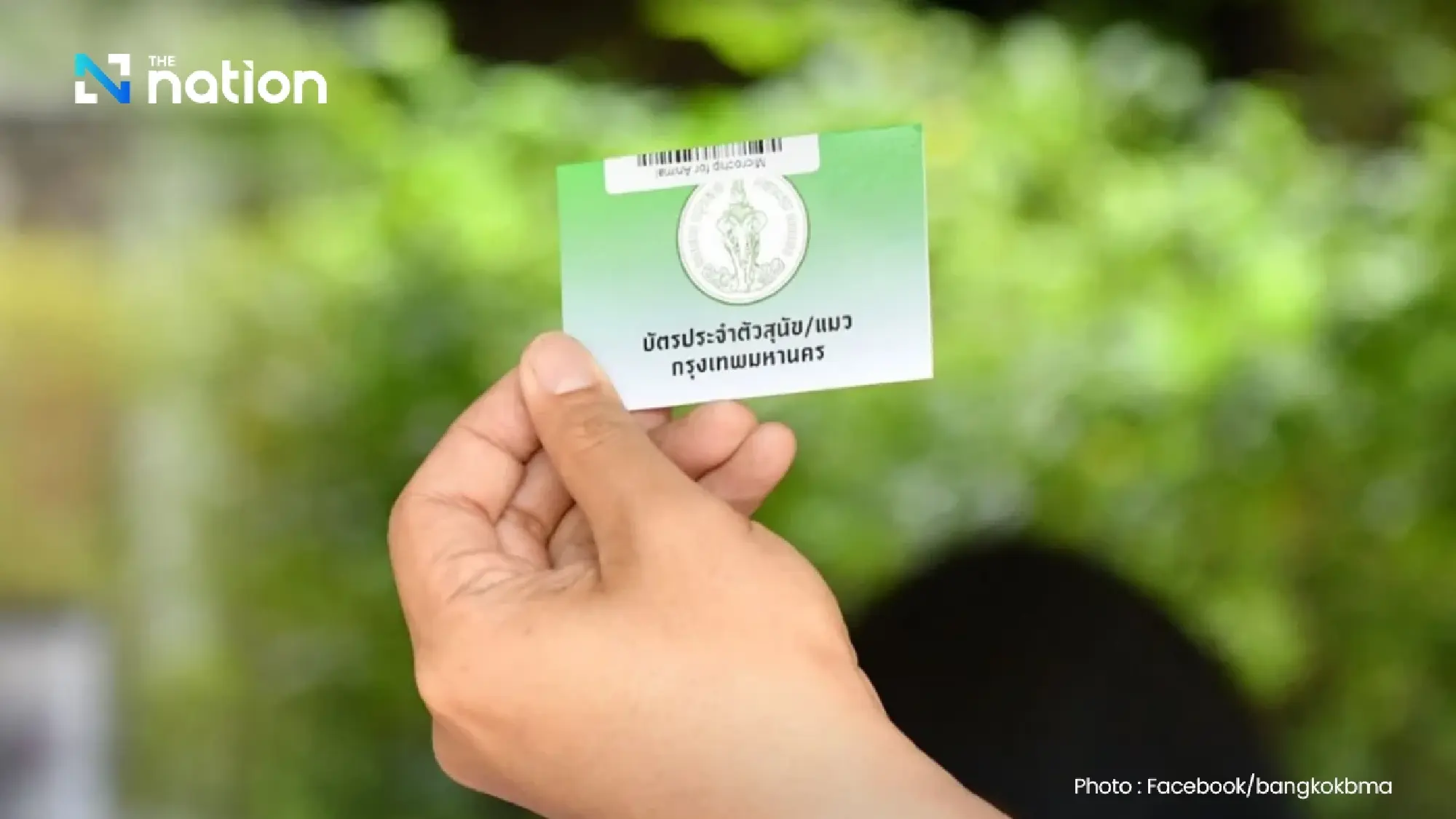 Bangkok to offer free pet microchipping, registration from February 14 via QueQ app