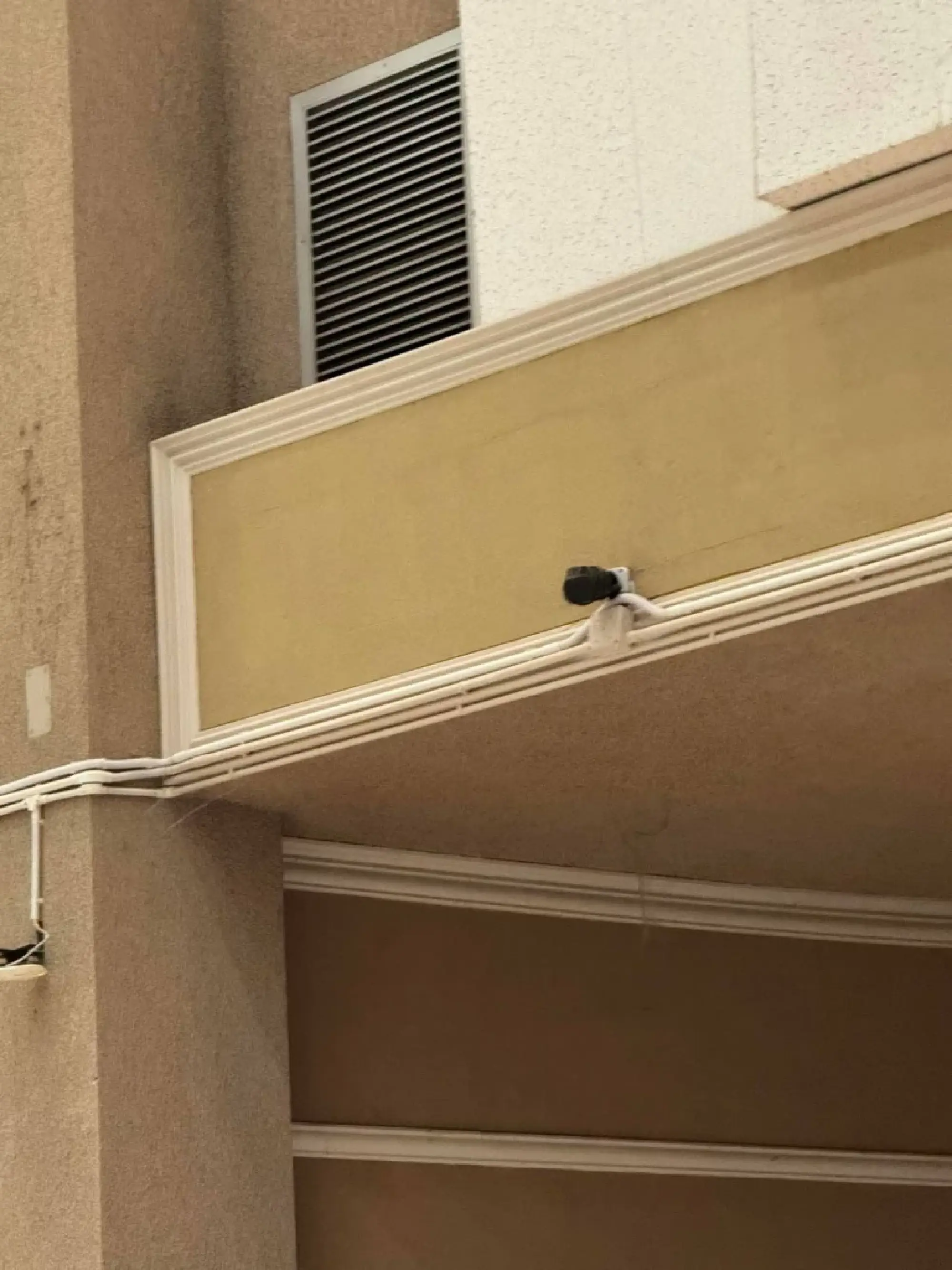 Students demand recount at Thanyaburi campus over vote-count doubts