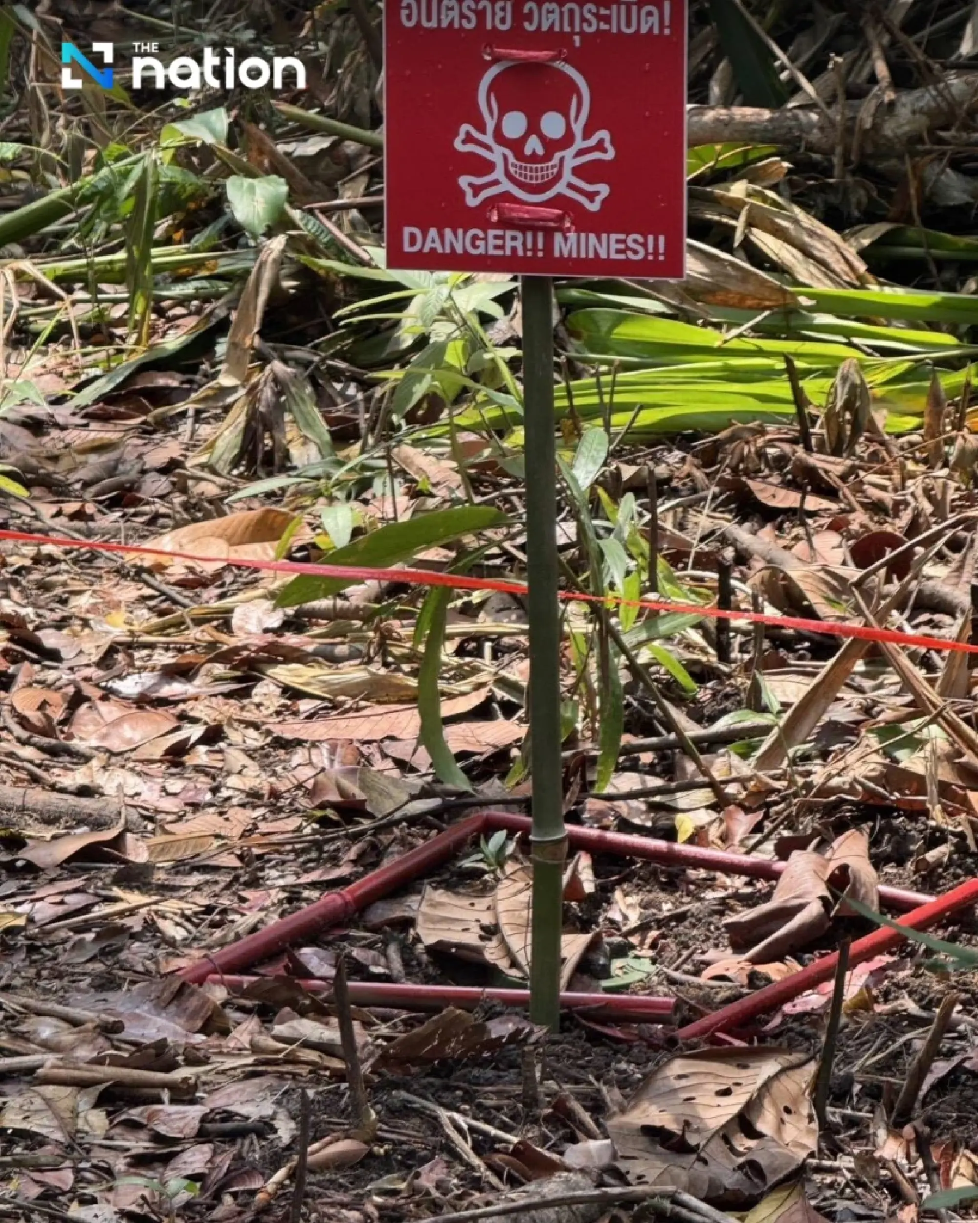 Navy says six new PMN-2 landmines found in Trat border area