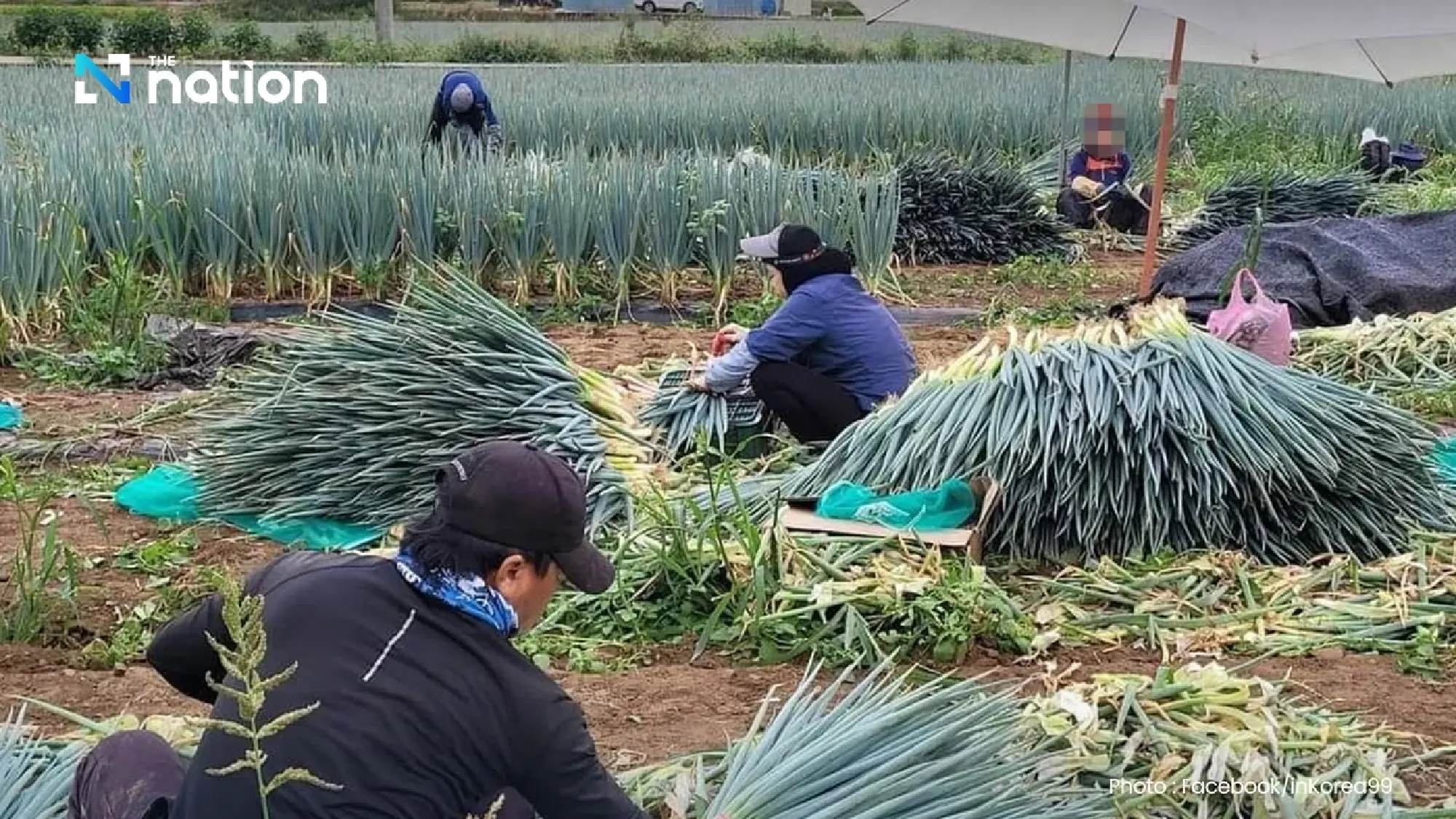 S. Korea to expand interviews, safety questions in E-9 worker selection tests