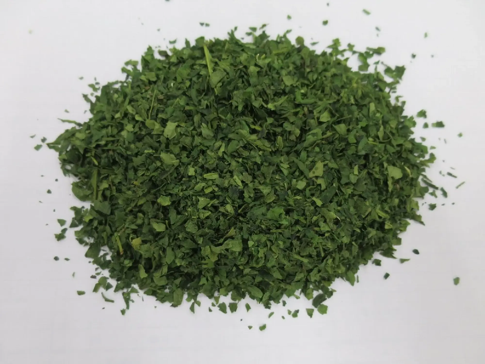 "Tencha" crude tea leaves of "Tsuyuhikari," a green tea variety developed in Shizuoka. Tencha is used as the base for matcha. (Courtesy of Shizuoka Prefecture)