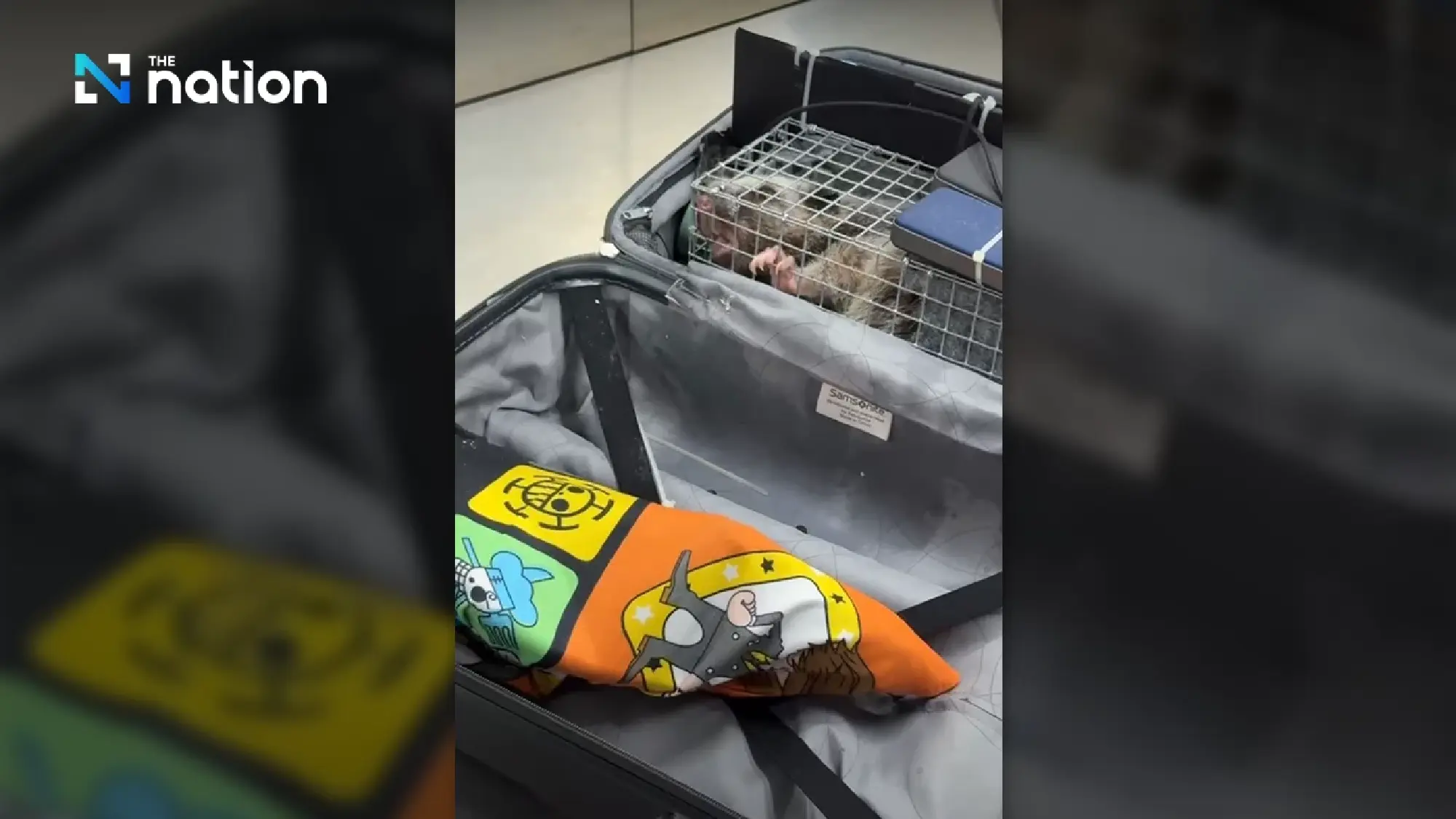 Transnational Wildlife Smuggling Ring Foiled at Suvarnabhumi Airport