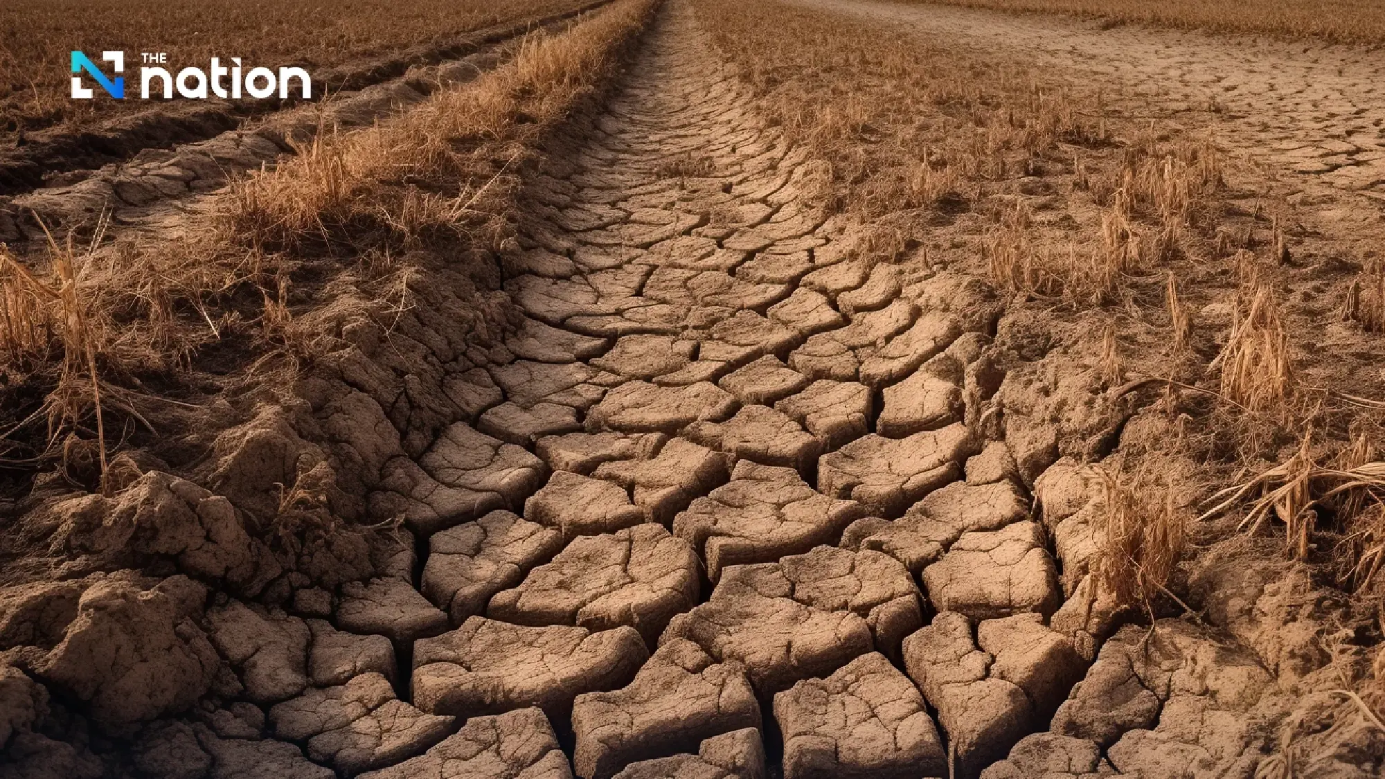 Govt orders all provinces to prepare for 2026 drought, secure household water reserves