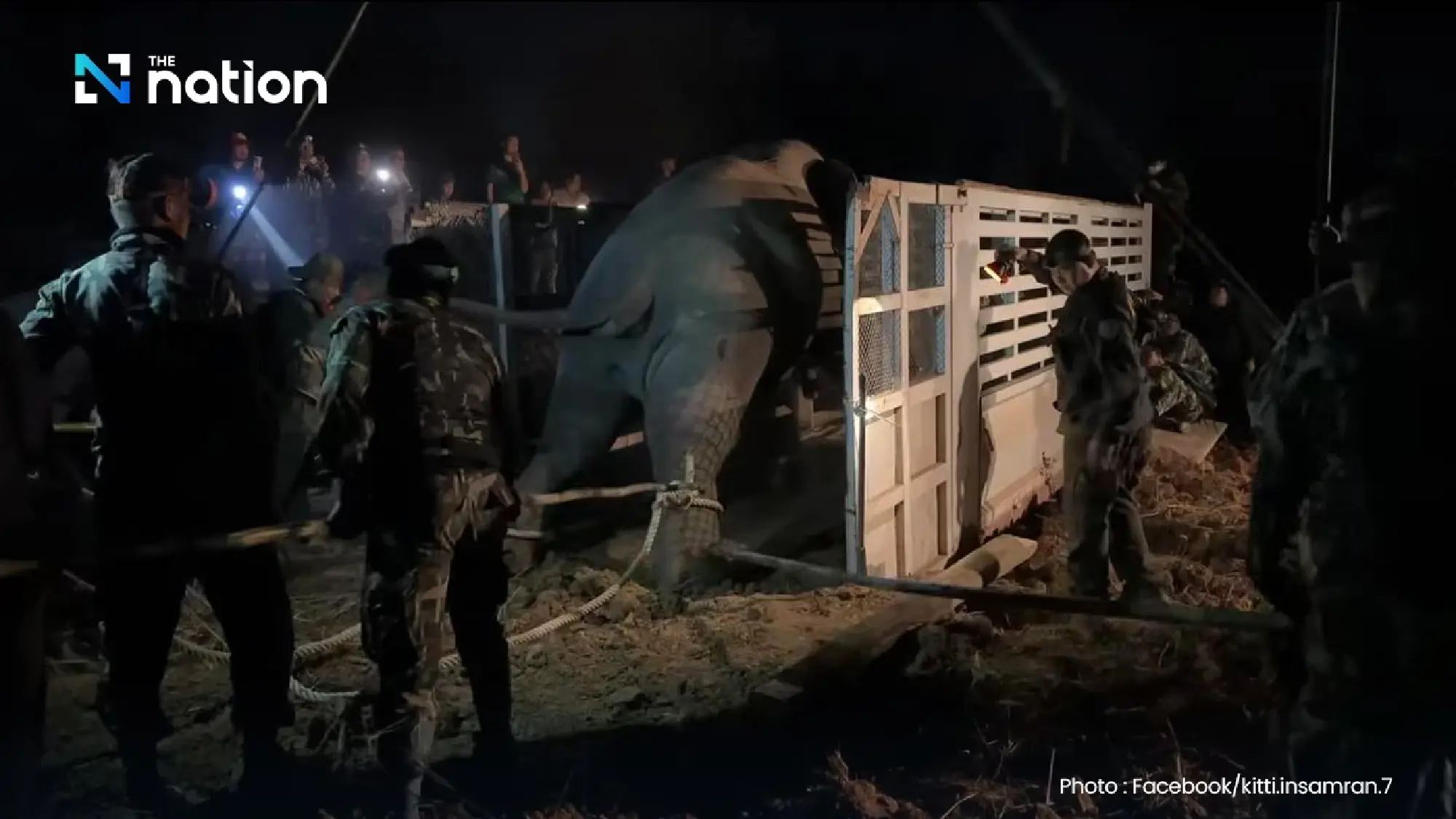 Tragic End to Elephant Relocation: ‘Sido Hoo-pub’ Dies En Route to Sanctuary