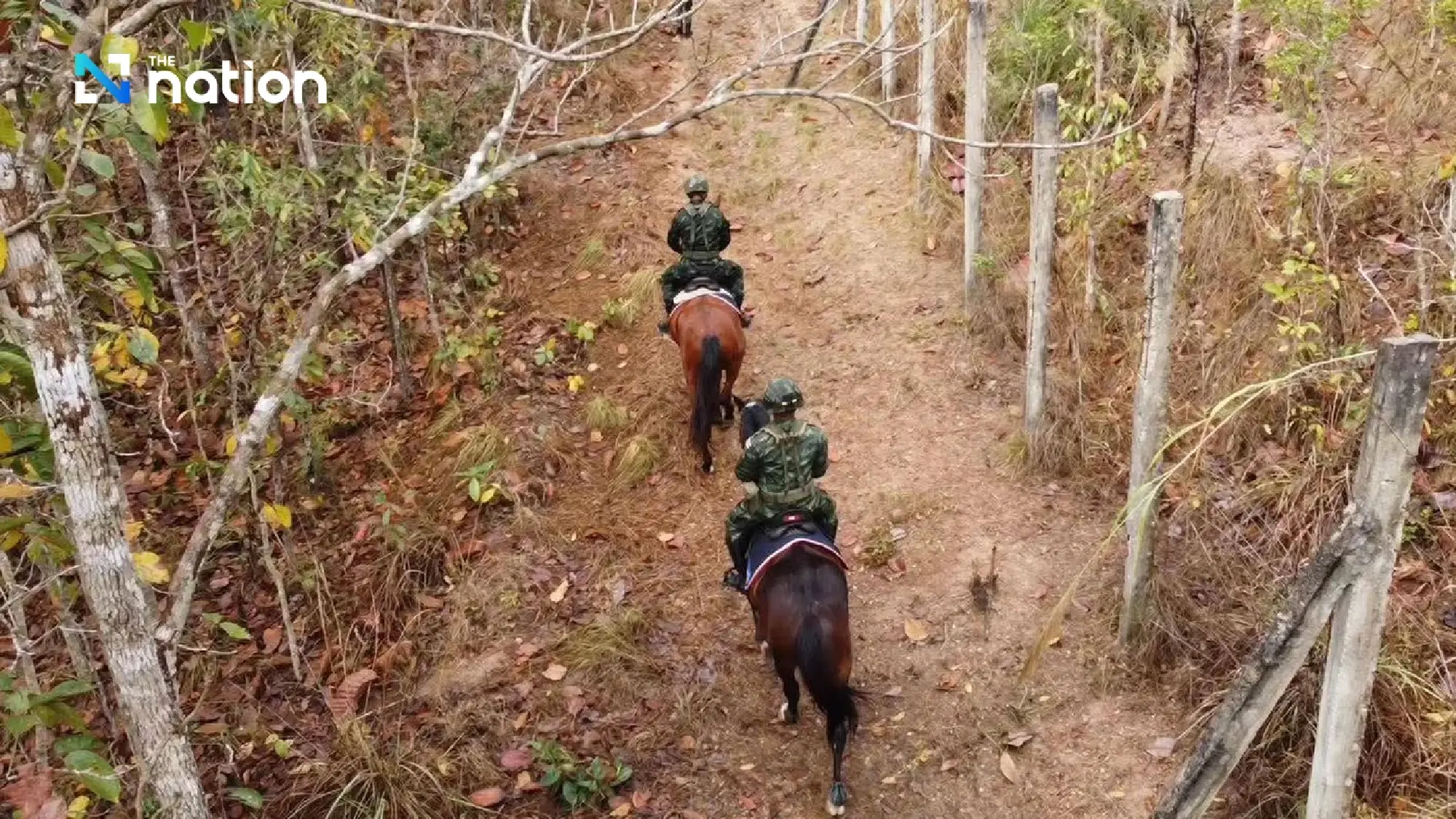 Thai army deploys horse patrols in Chiang Mai to combat wildfires and PM2.5