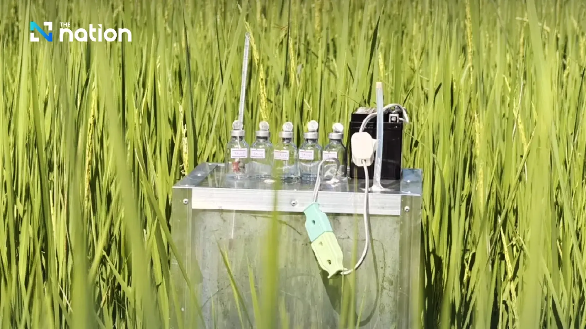 Thailand’s low-carbon rice model emerges from Central Plains farmers