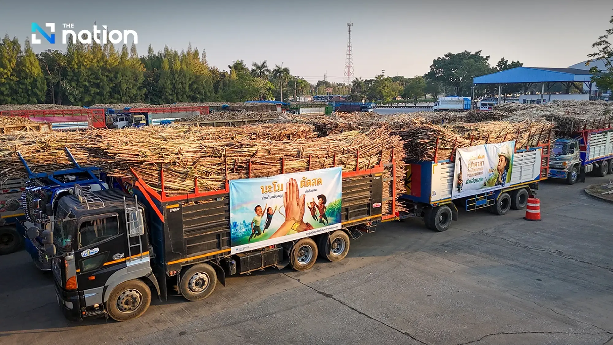 “Let’s Green the Sugarcane” campaign drives impact through fresh cane to mills