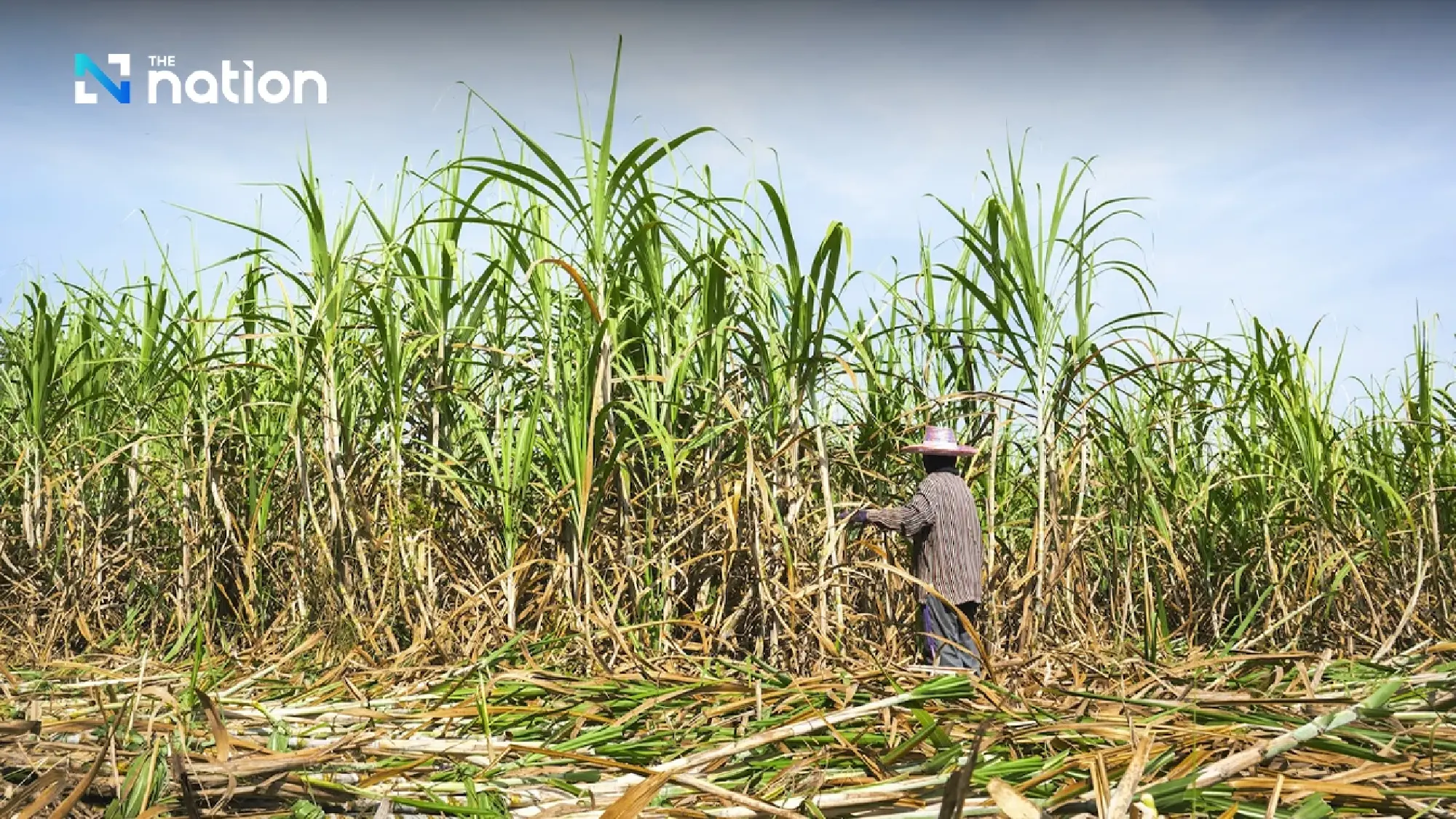 Thai Sugar Industry Calls for E20 Transition to Bolster Energy Security and Net Zero Goals