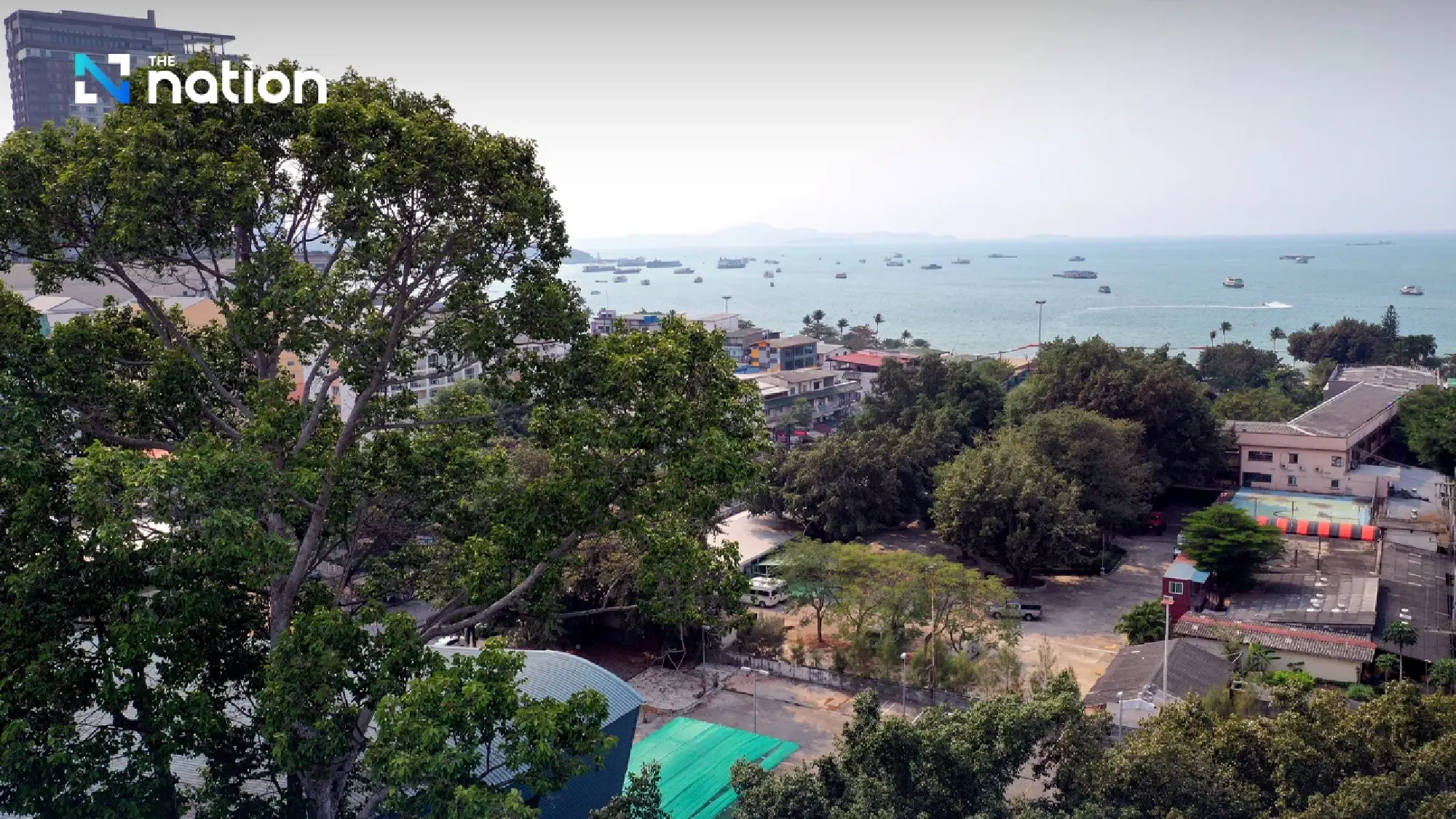 The Last Yang Tree: How One Pattaya Plot Is Rewriting the Rules of Resort Development