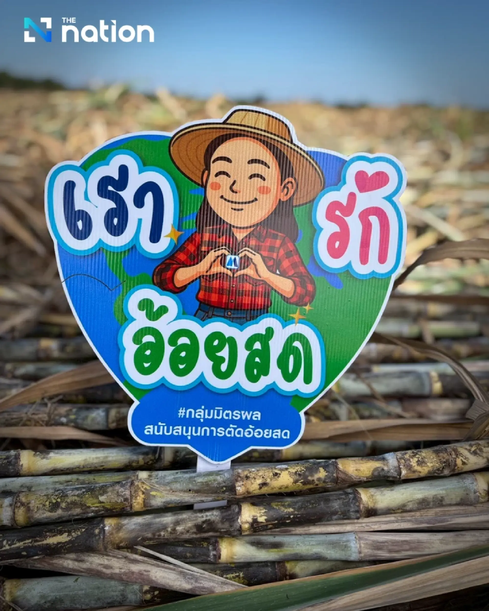 “Let’s Green the Sugarcane” campaign drives impact through fresh cane to mills