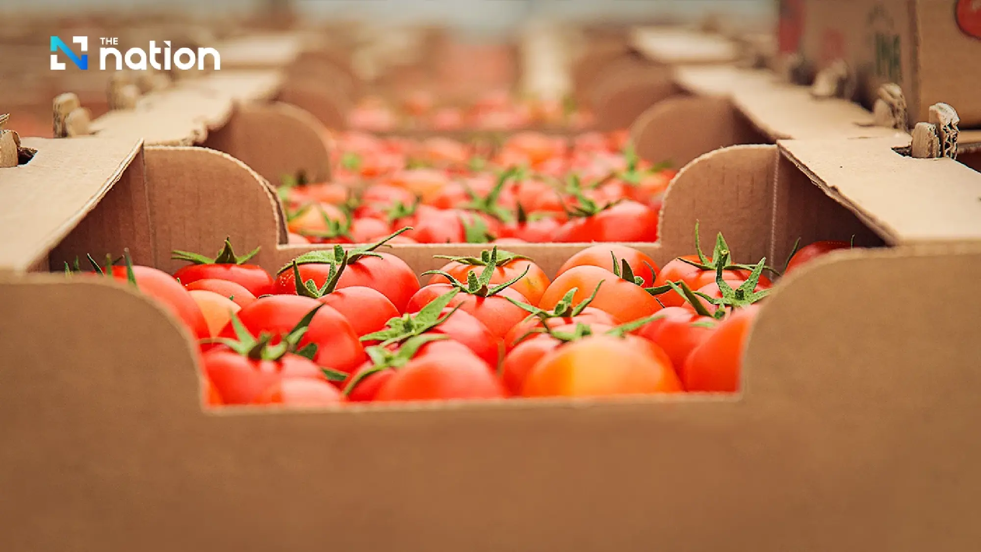 Middle East war hits Thai food exports in first two months of 2026