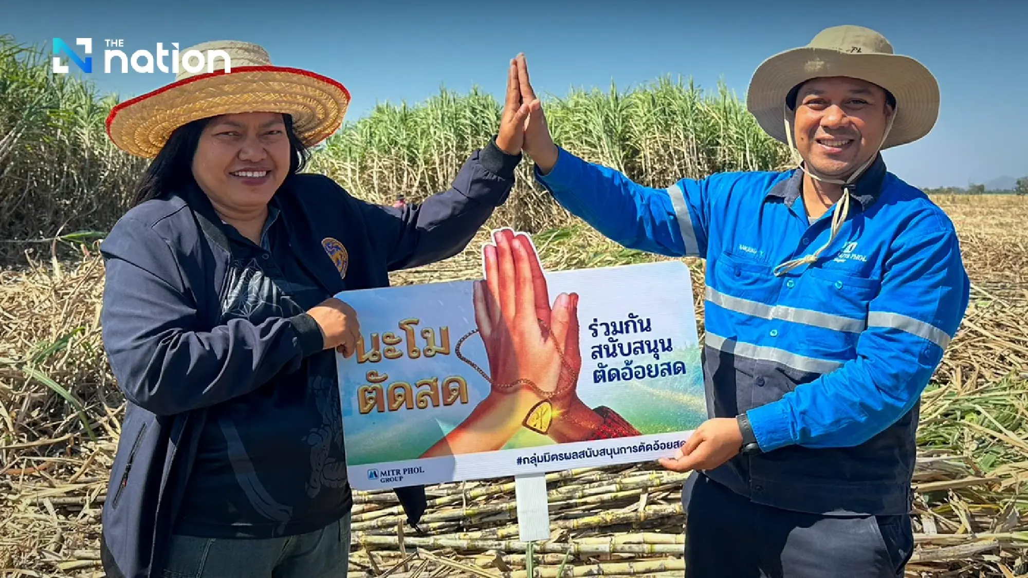 “Let’s Green the Sugarcane” campaign drives impact through fresh cane to mills