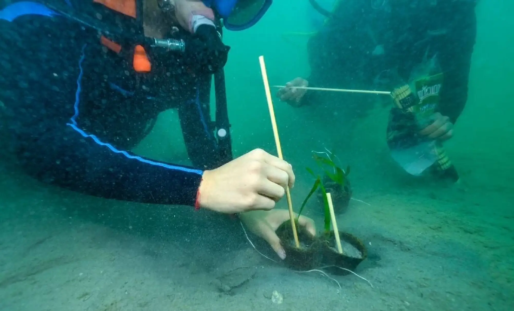 The Ocean’s Young Sentry: Claire Narida’s Mission for the Sea