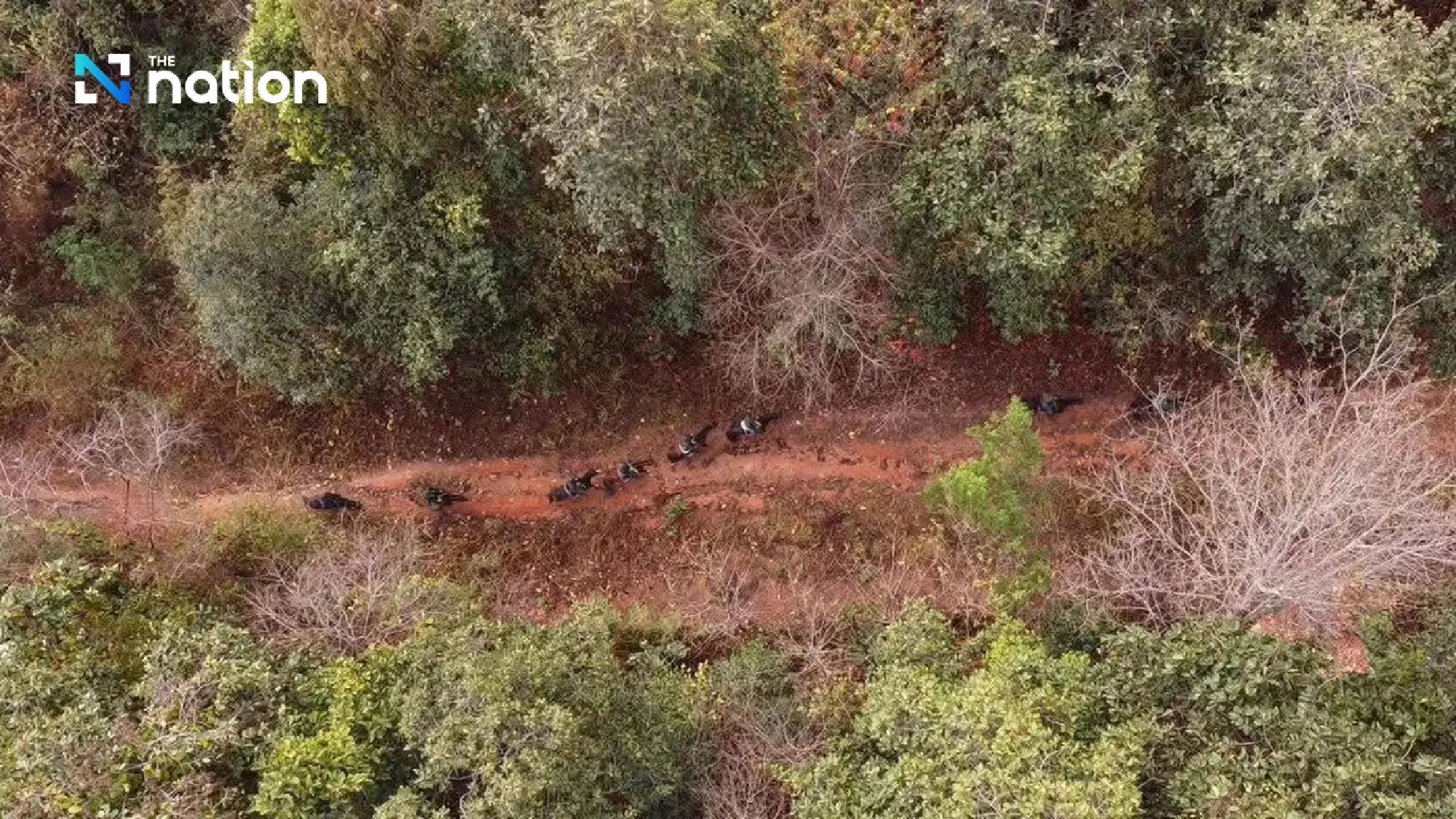 Thai army deploys horse patrols in Chiang Mai to combat wildfires and PM2.5