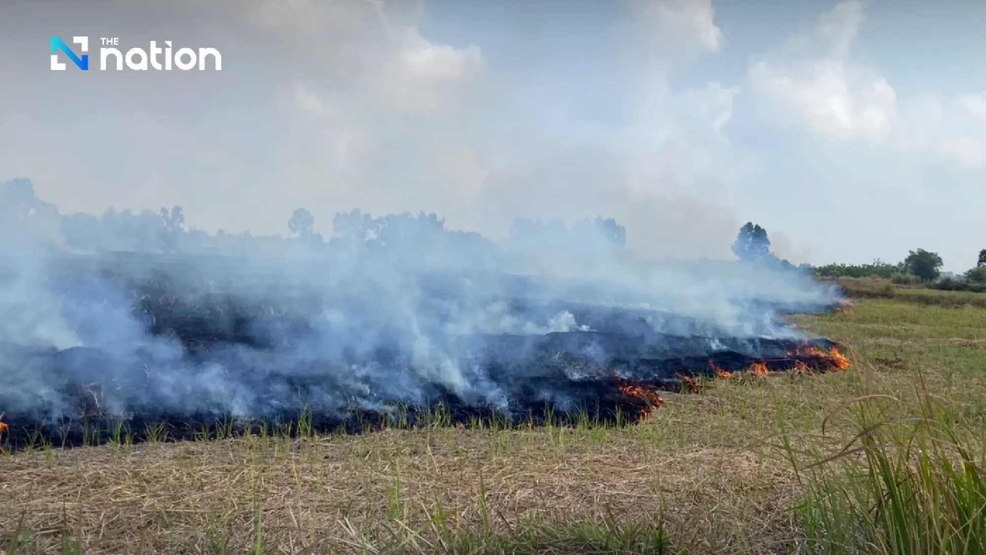 Forest burners face 20 years in jail as parks shut high-risk areas nationwide