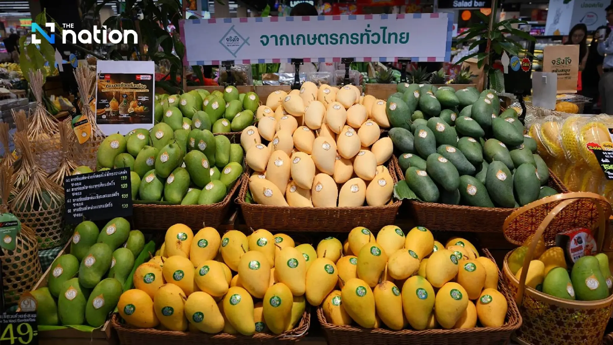 Discover Thai Fruits 2026 shines spotlight on Thai GI mangoes