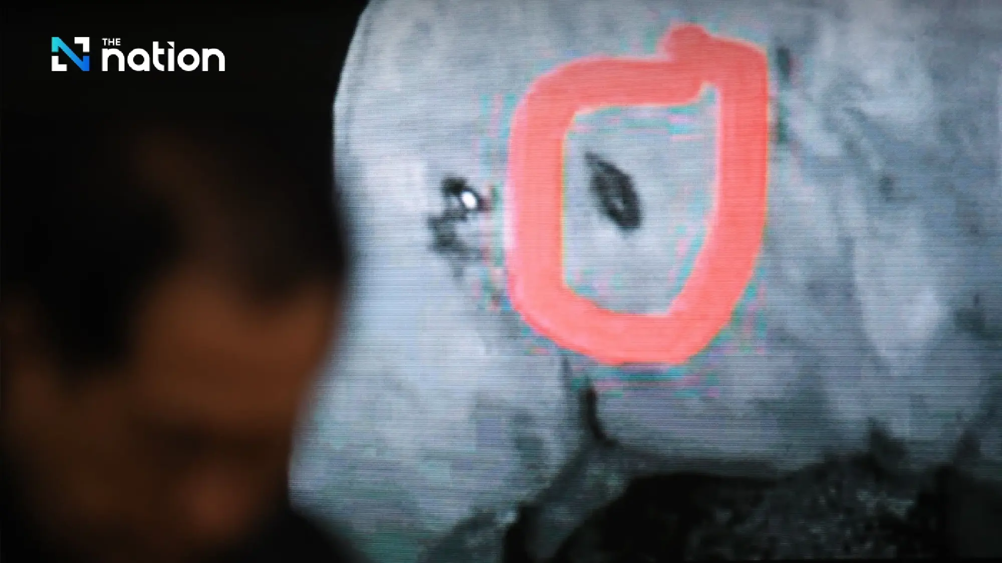 Probe finds wild elephant died from aspiration, not official negligence