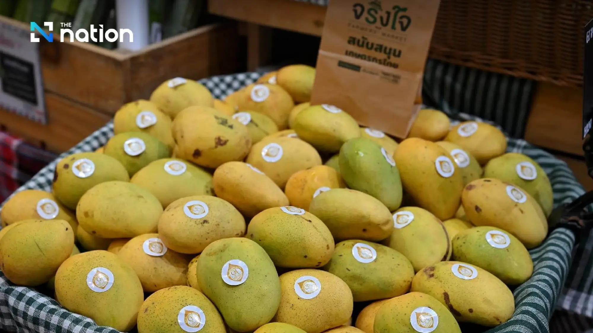 Discover Thai Fruits 2026 shines spotlight on Thai GI mangoes